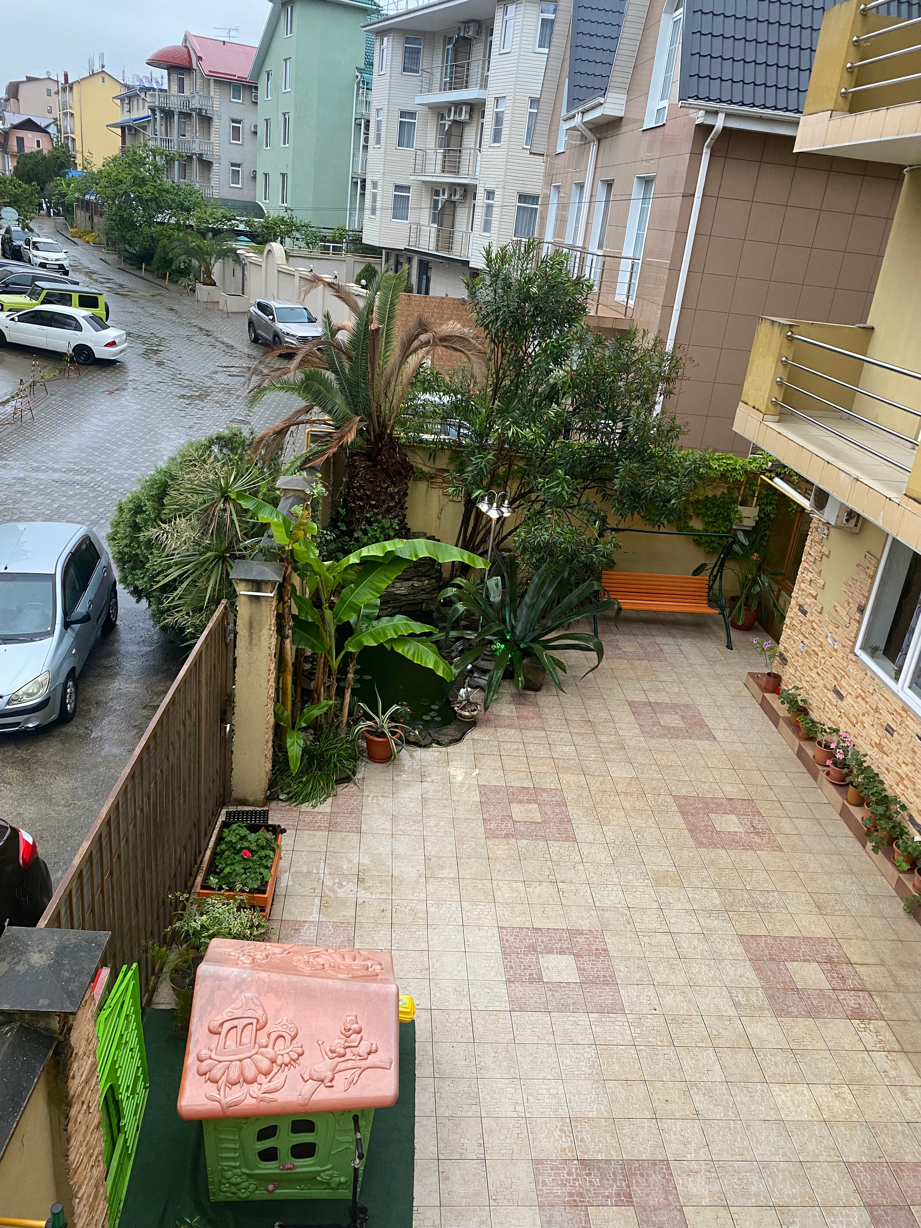 Фото Адениум 585