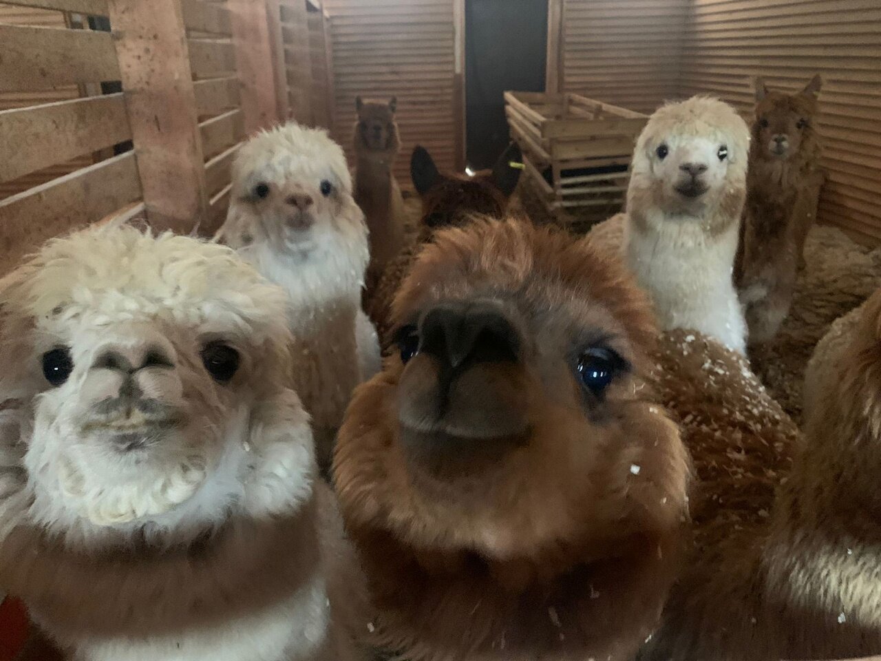 Фото Дом у озера