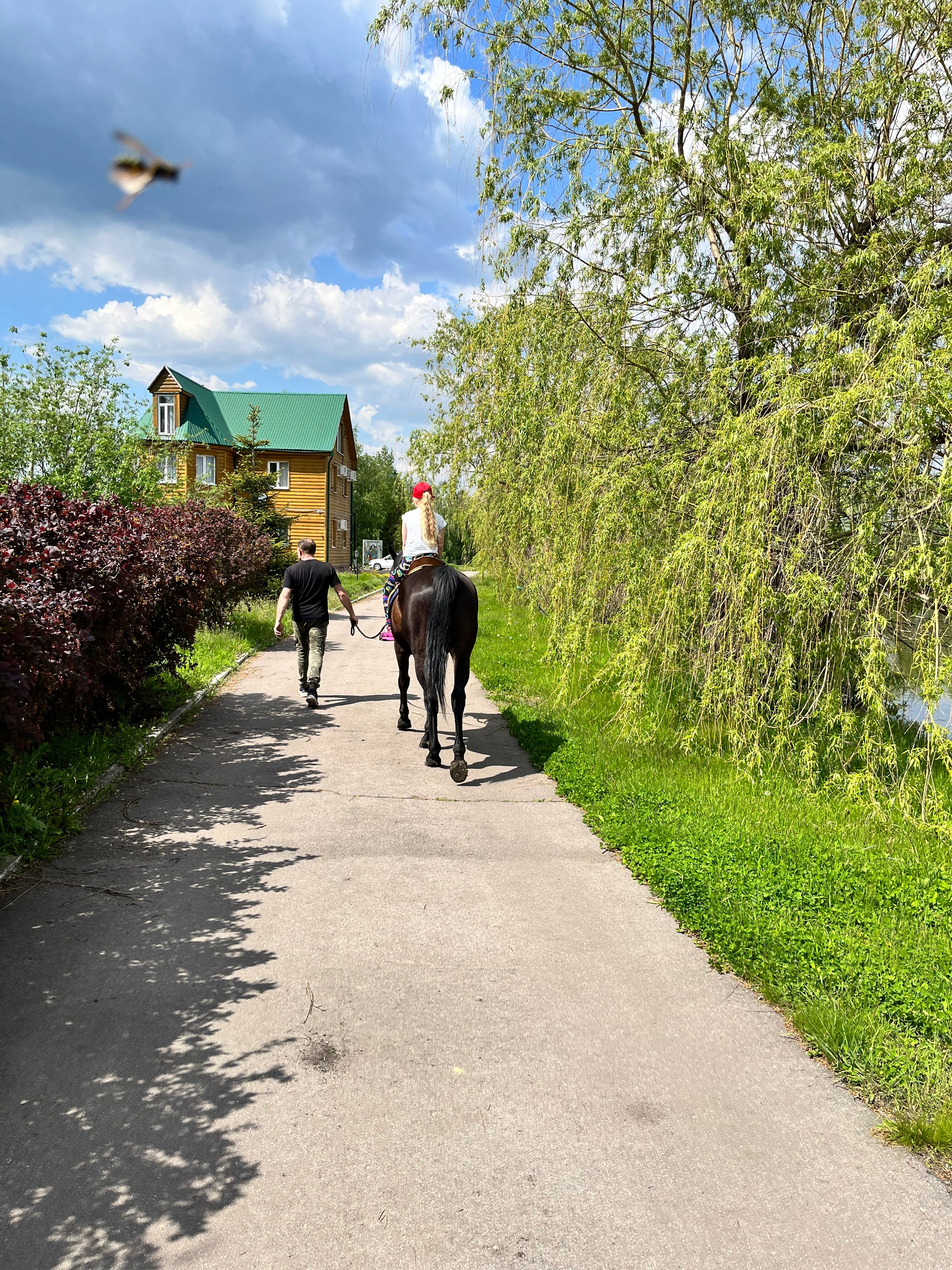 Фото Zолотой саZан