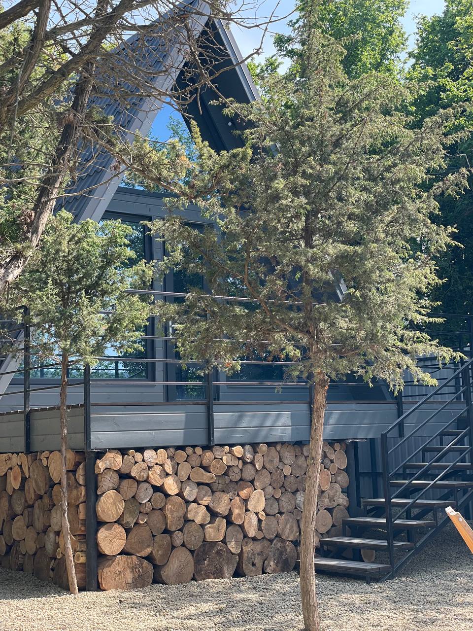 Фото Можжевеловое место