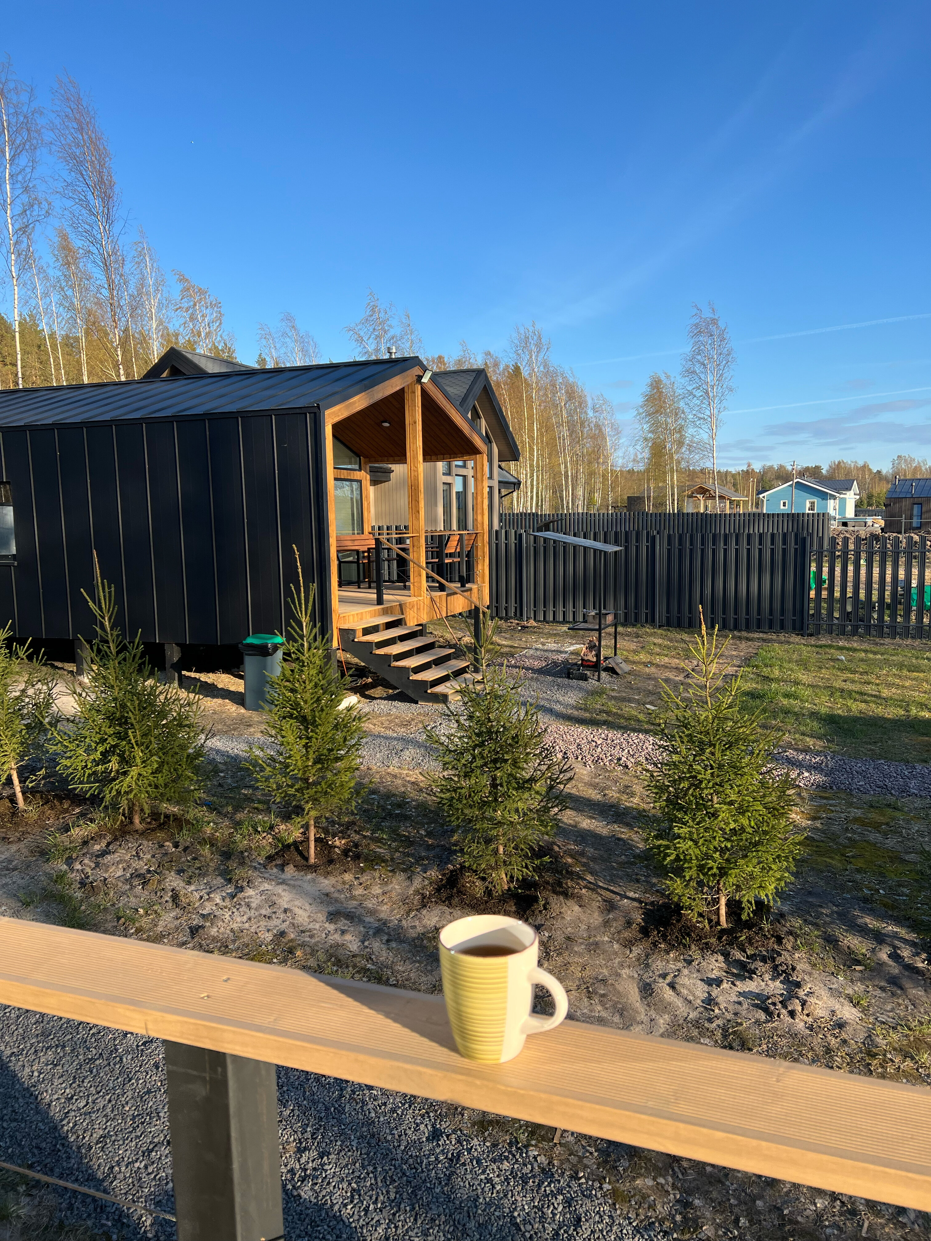 Фото Мамонт на озере