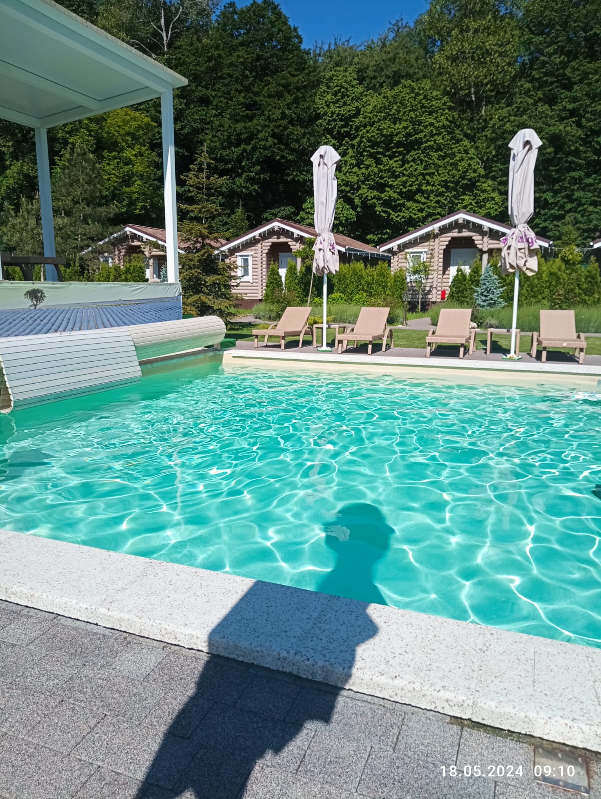 Фото Лаванда