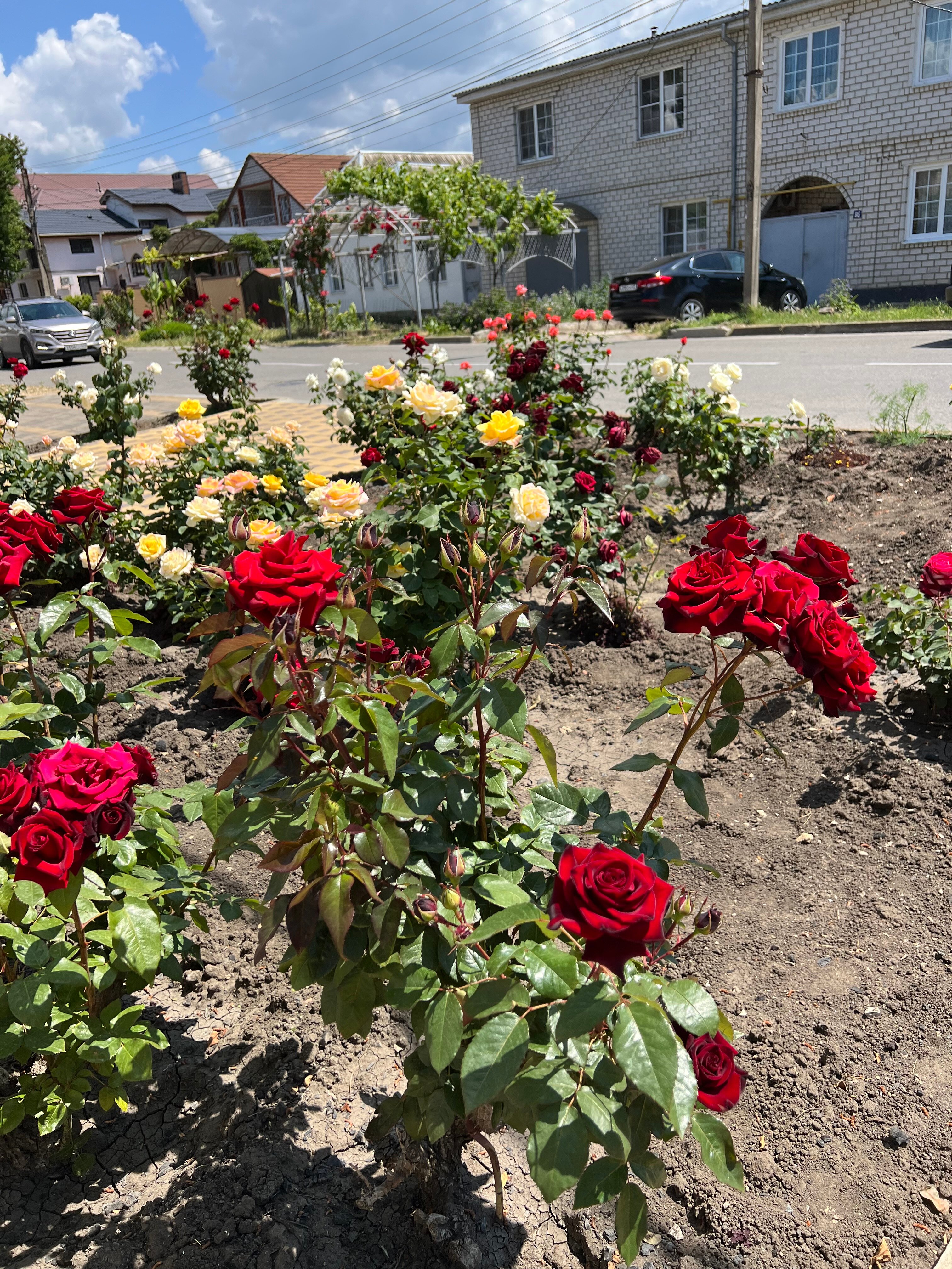 Фото Посейдон