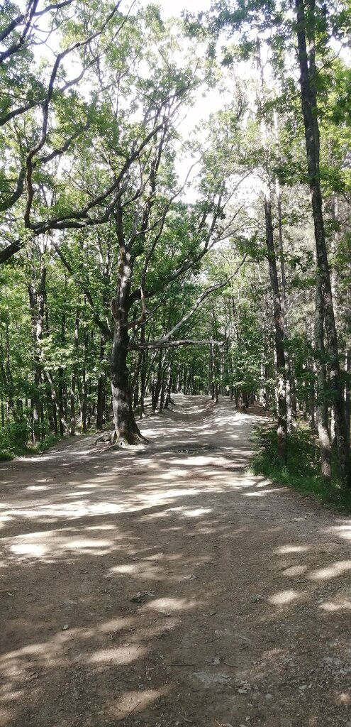 Парк культуры и отдыха лесопарк Кадош, Туапсе, фото