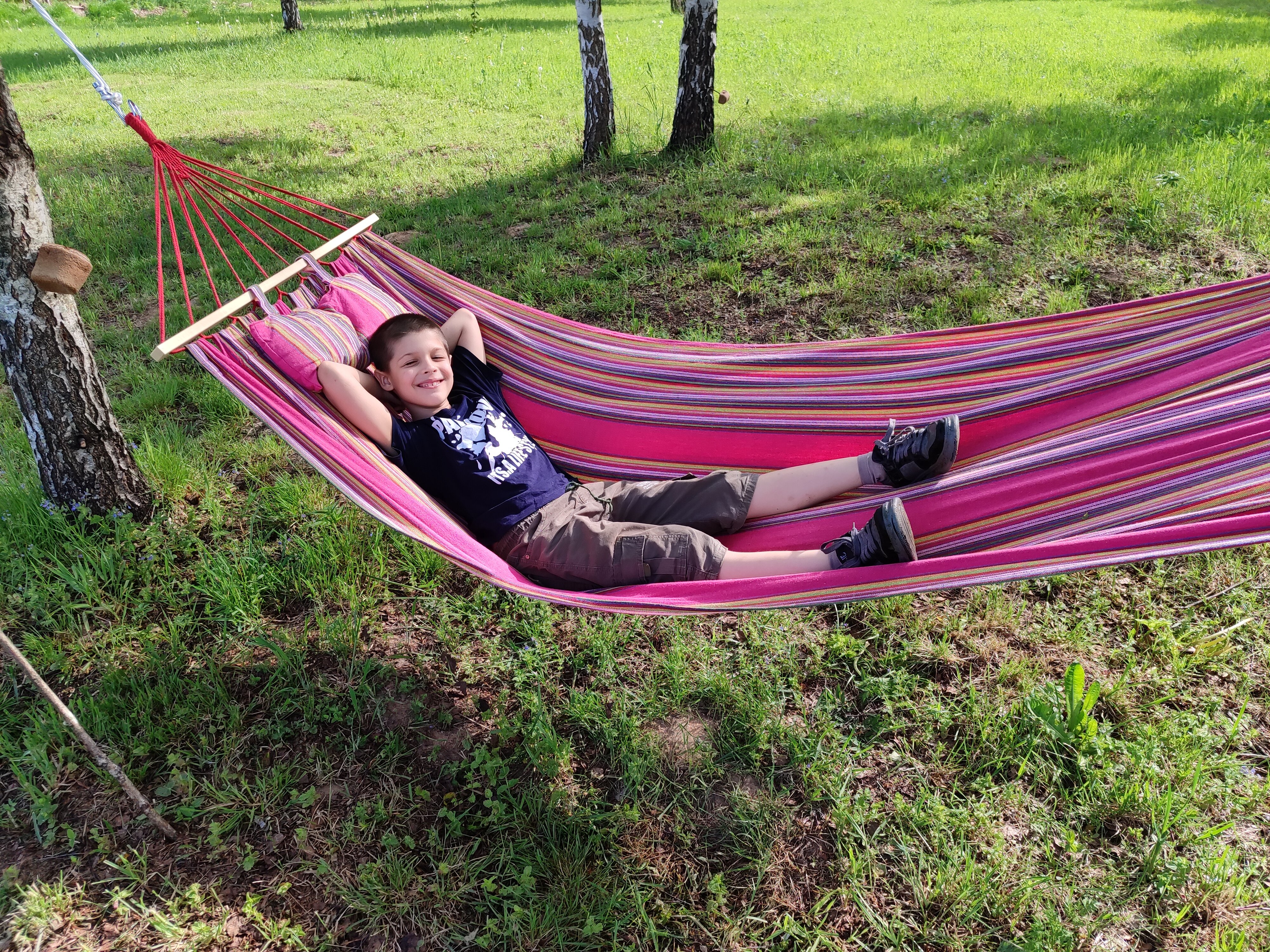 Фото Волшебный лес