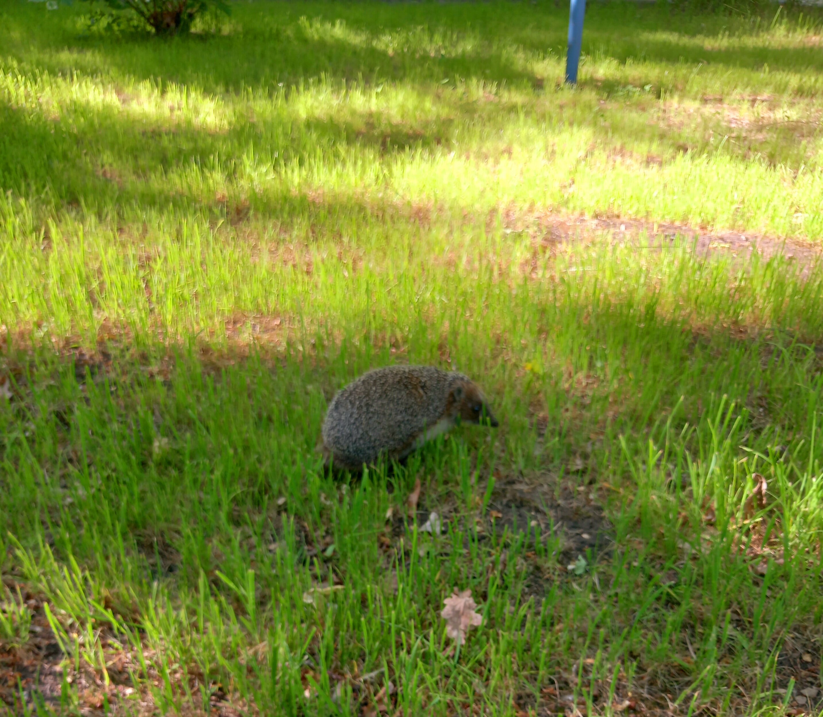 Фото Алымов