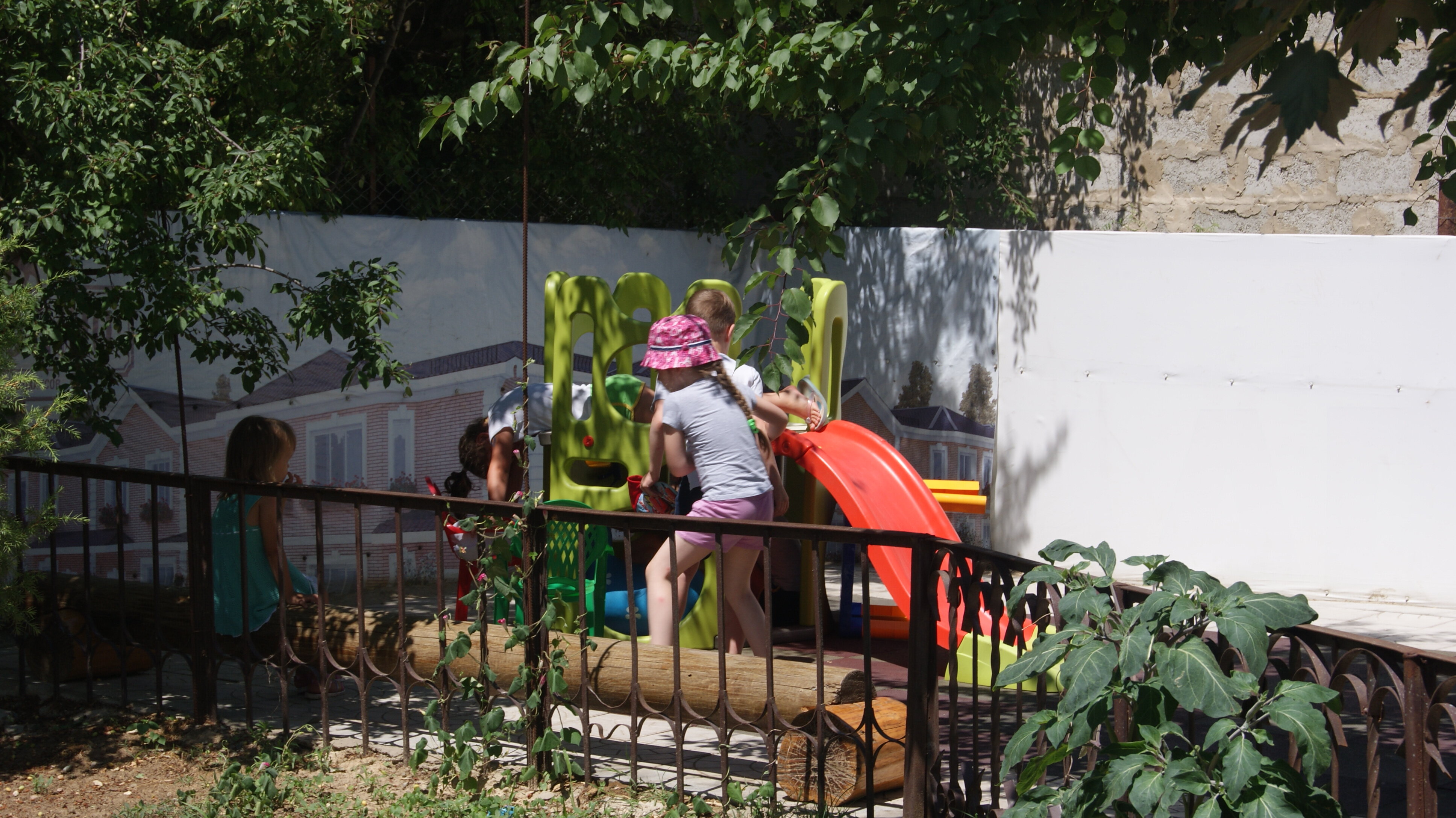 Фото Зеленая 25