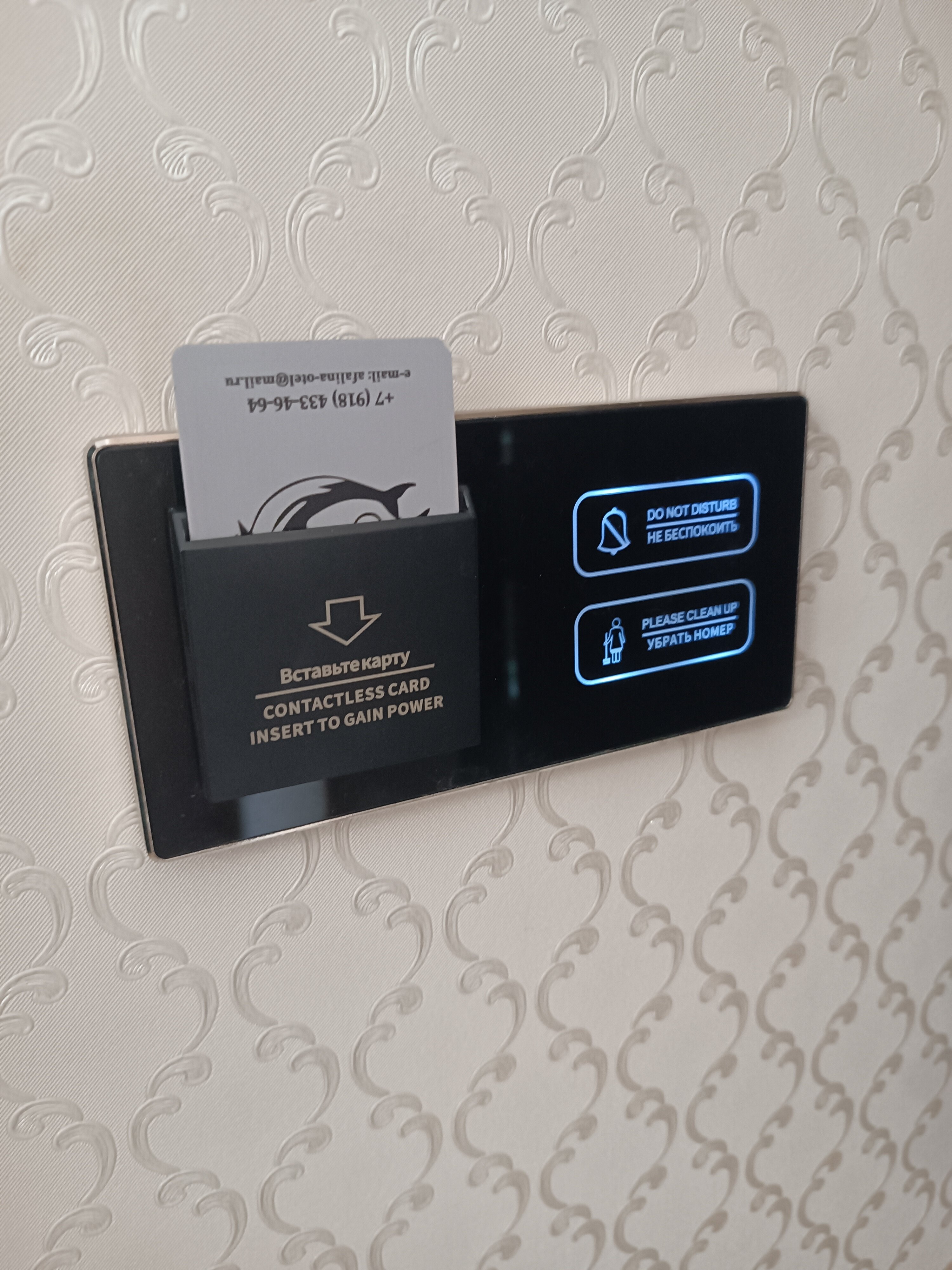 Фото Афалина+