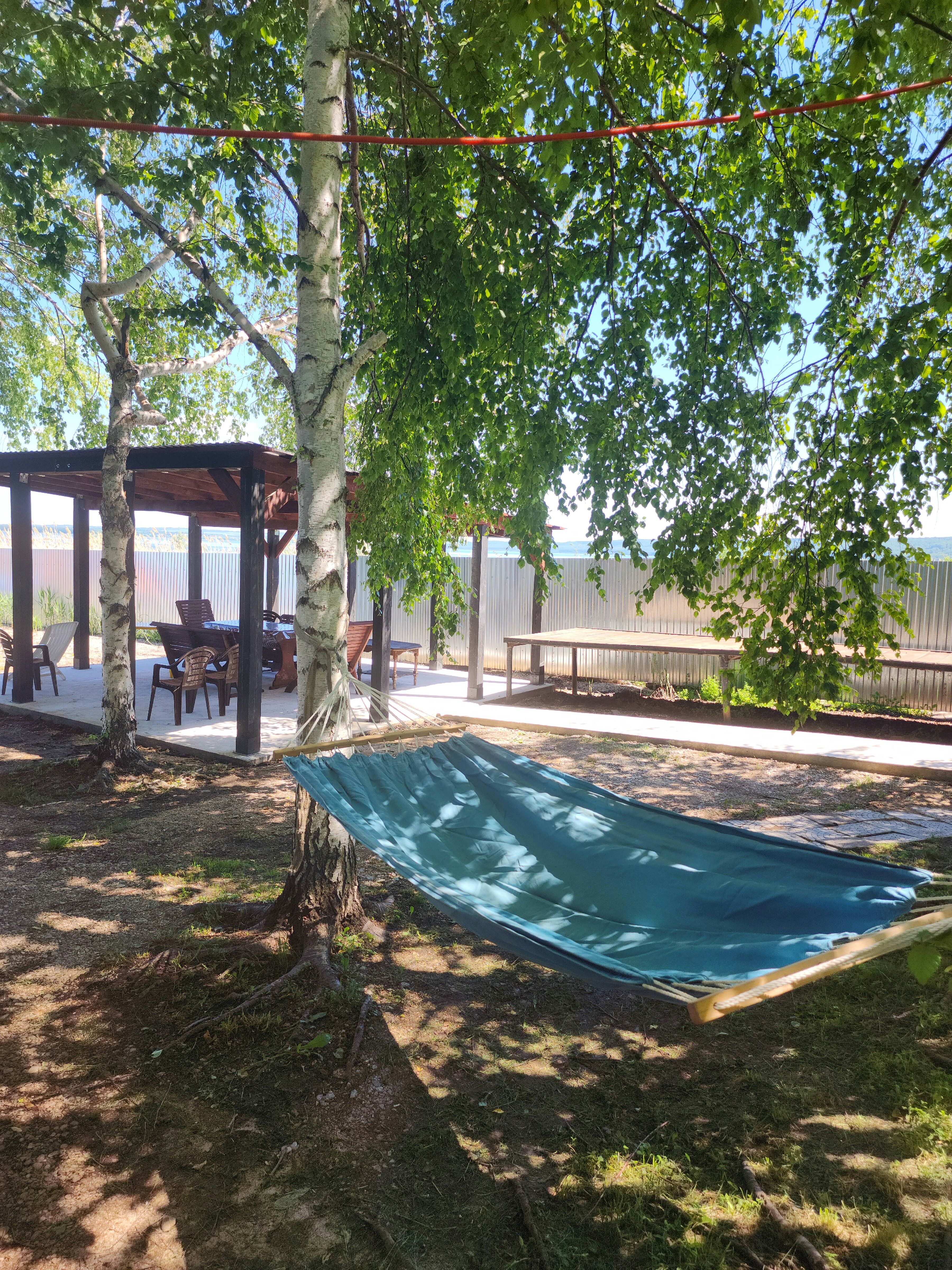 Фото Берёзка Кандрыкуль