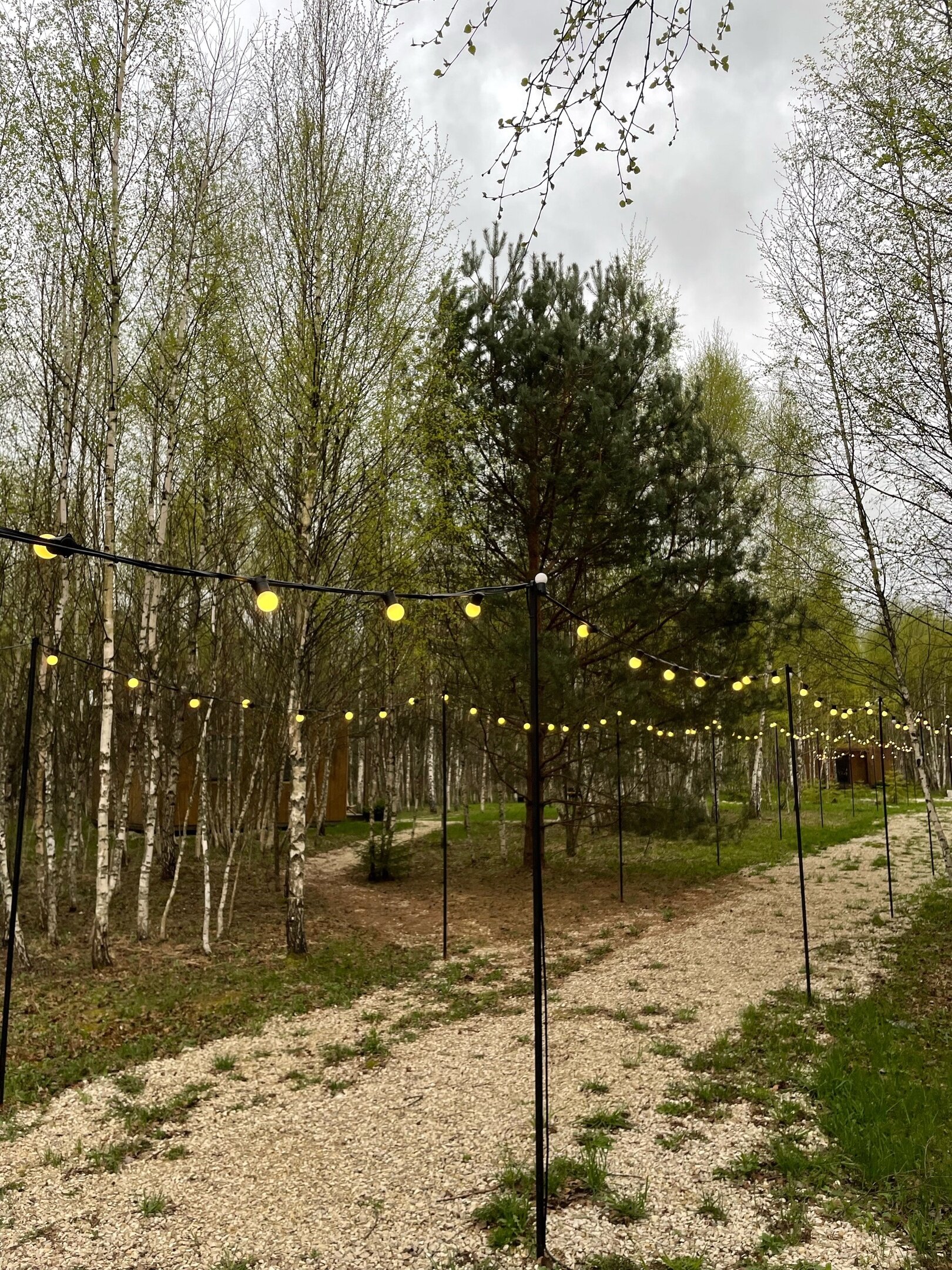 Фото Два зайца