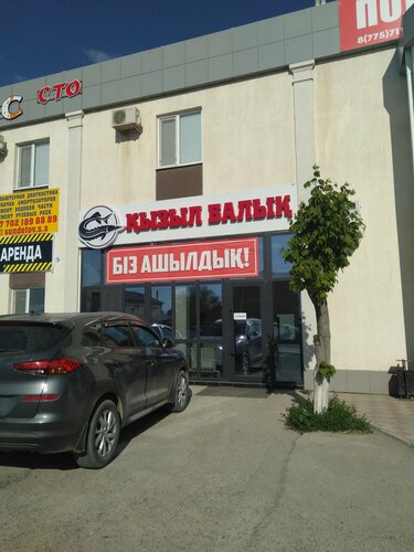 Жастардың порно видеолары