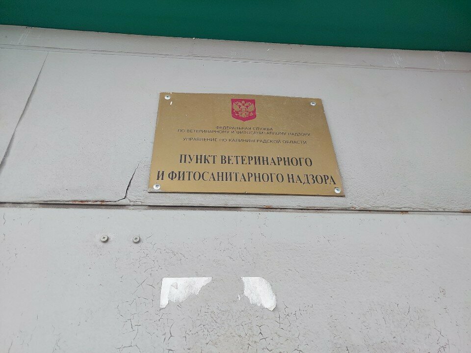 Laboratorio veterinario Kaliningrad Interregional Veterinary Laboratory, , foto