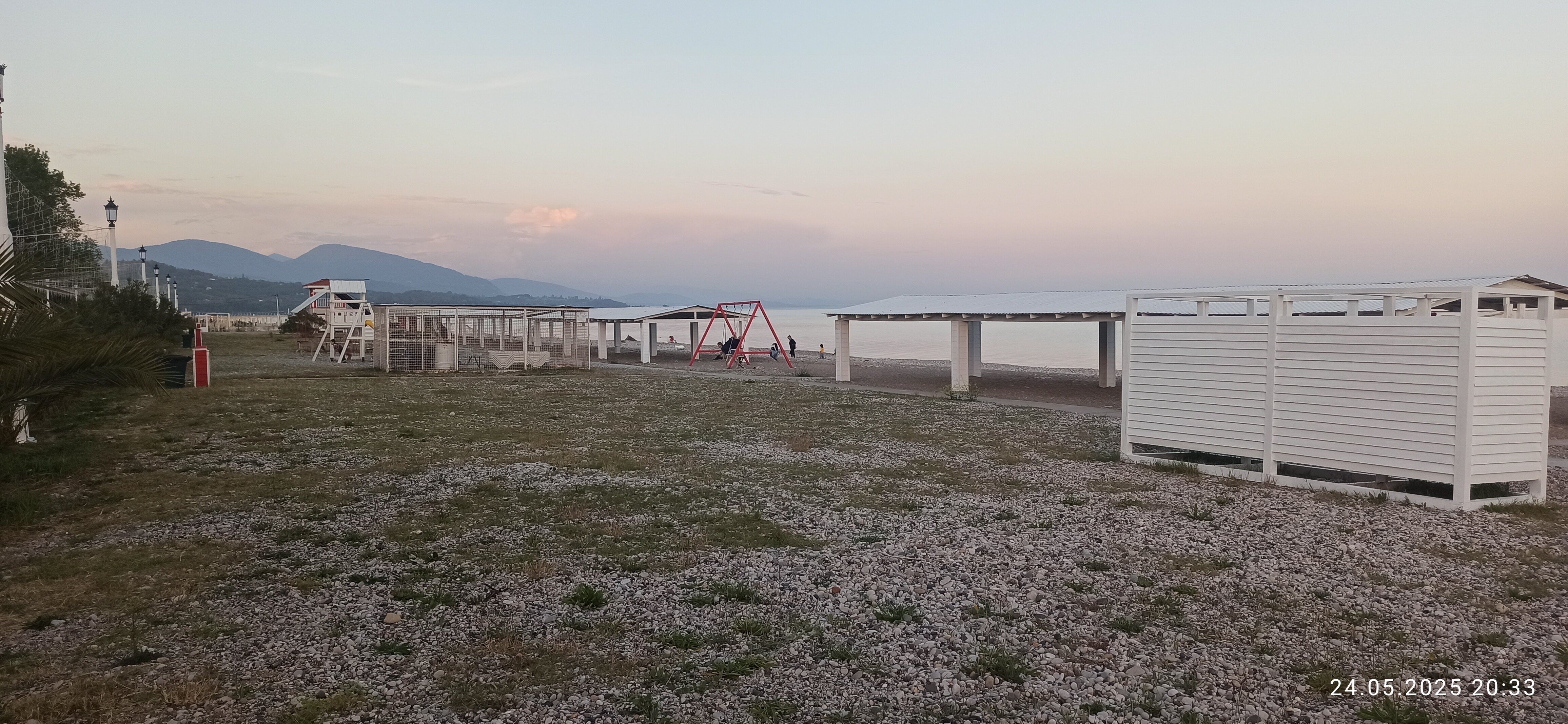 Фото Камелия