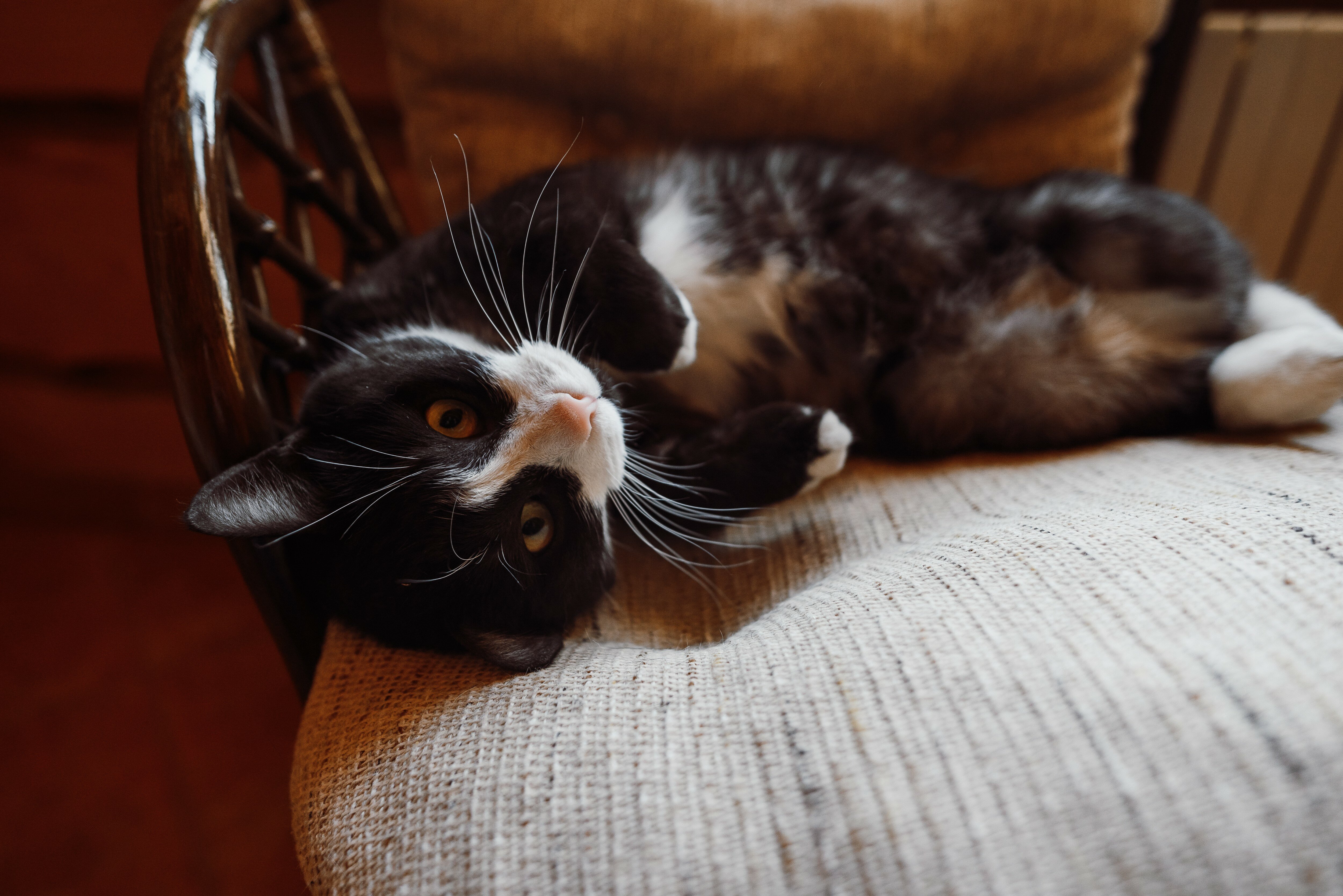 Фото Алексеевская Усадьба