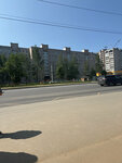 Derzhavina Street, 7к1 (Velikiy Novgorod, Derzhavina Street) ، توقف وسائل النقل العام