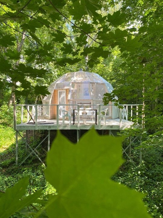 Фото Клевер