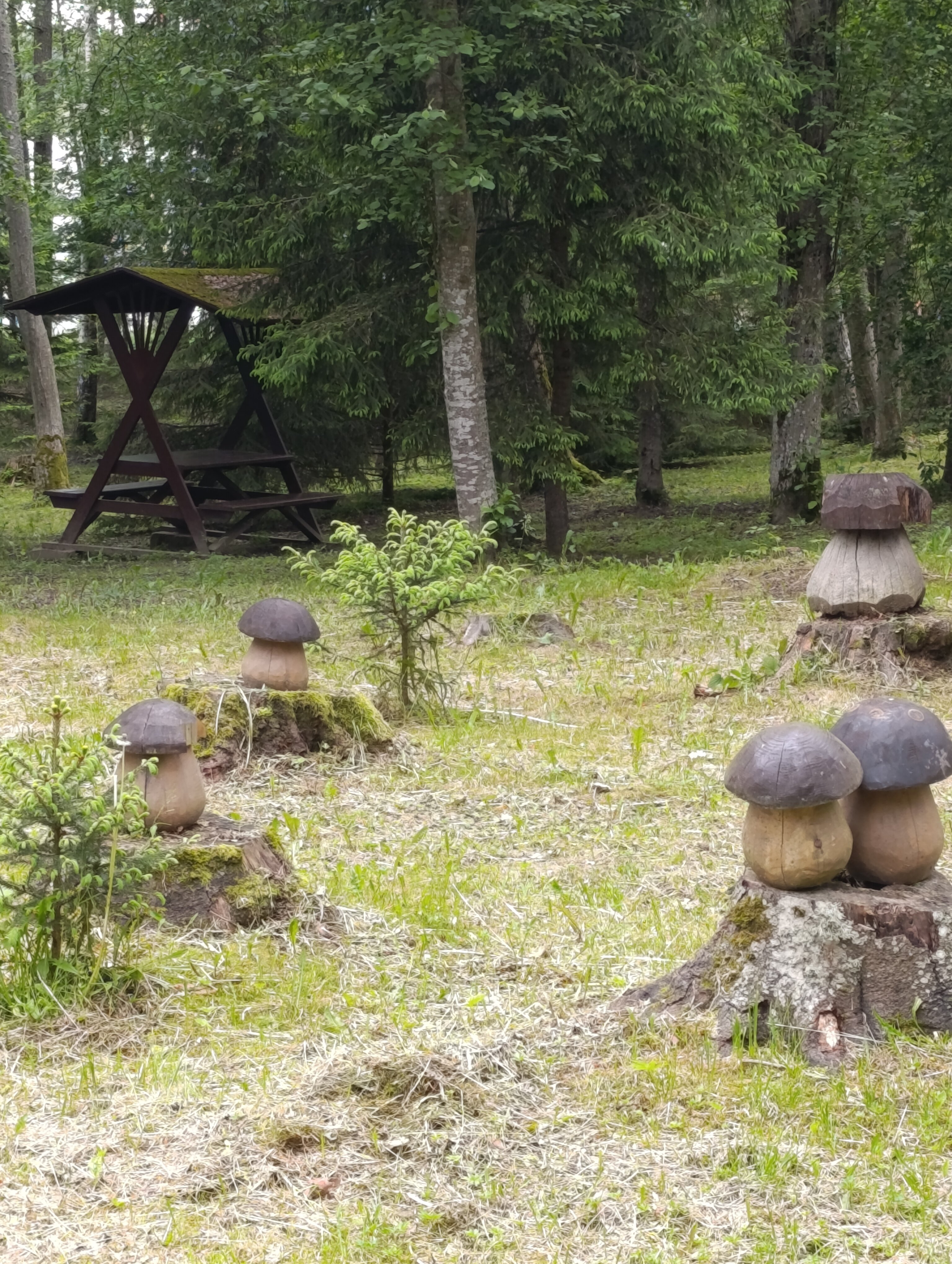 Фото Охотник и рыболов