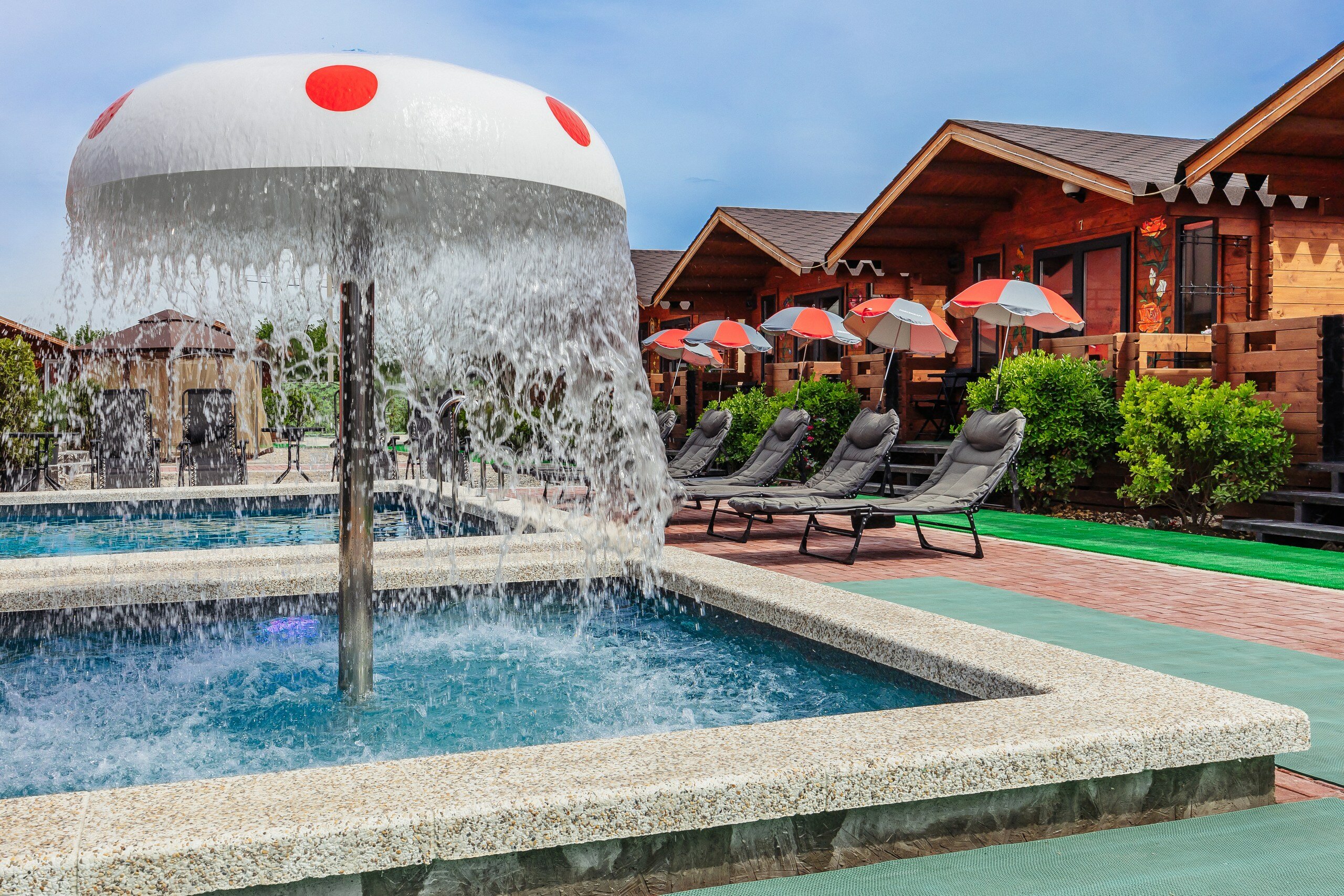 Фото Аристократ