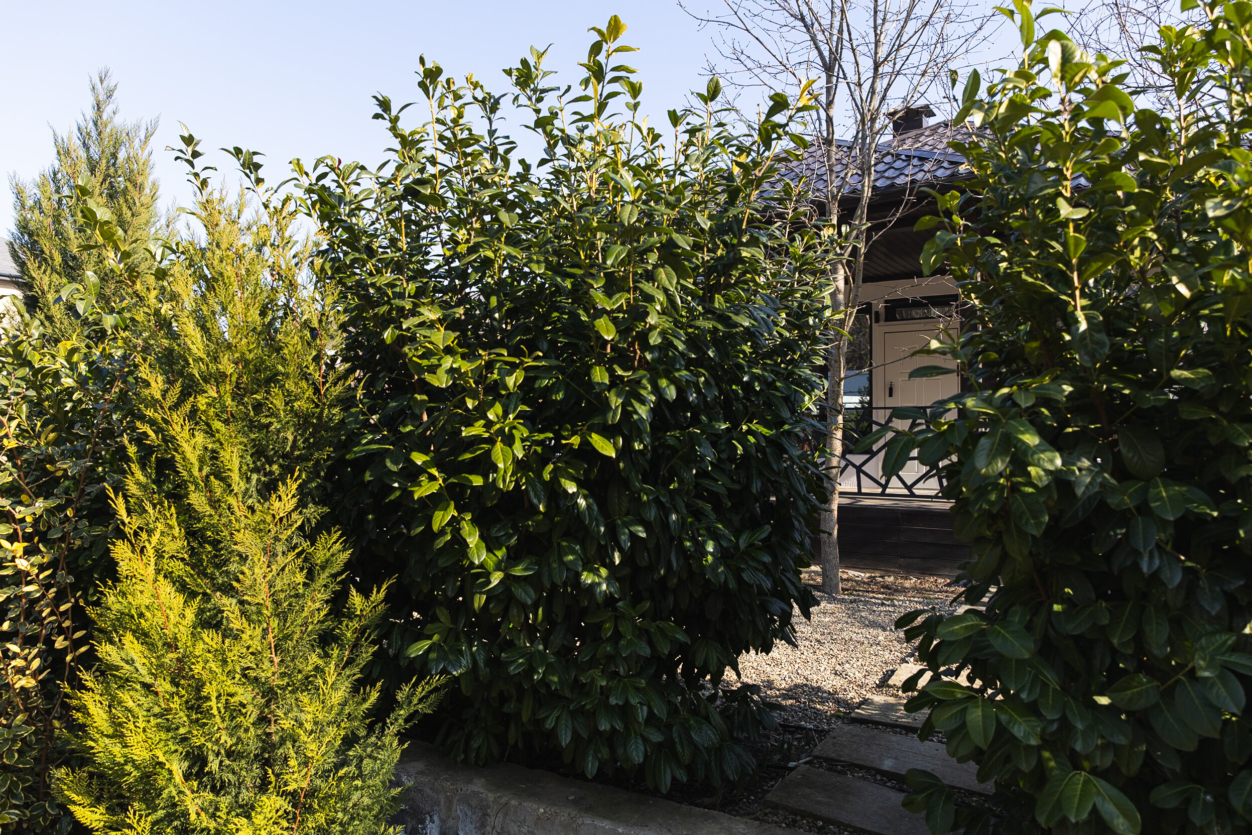 Фото Abrau Garden