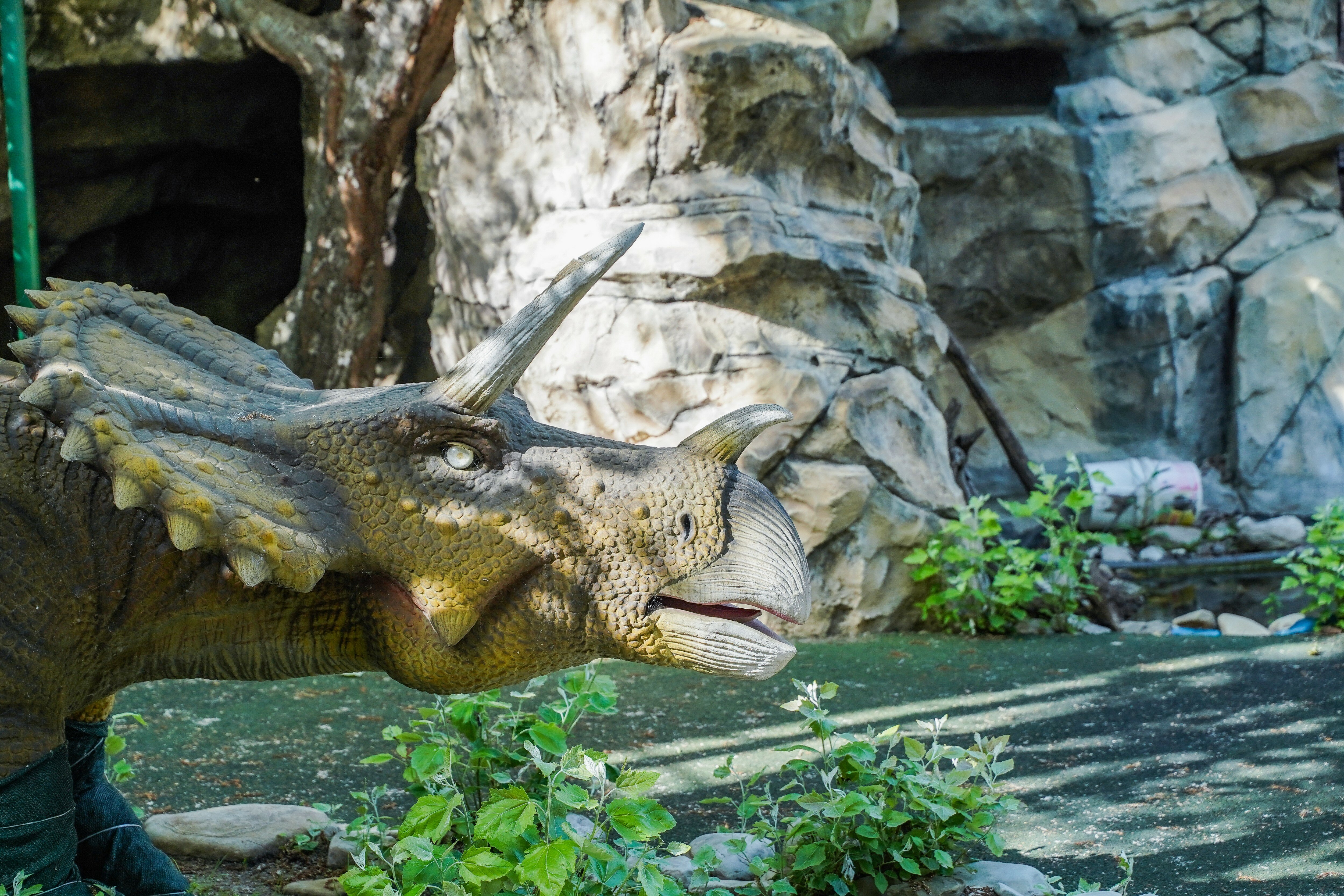 Фото Черноморье