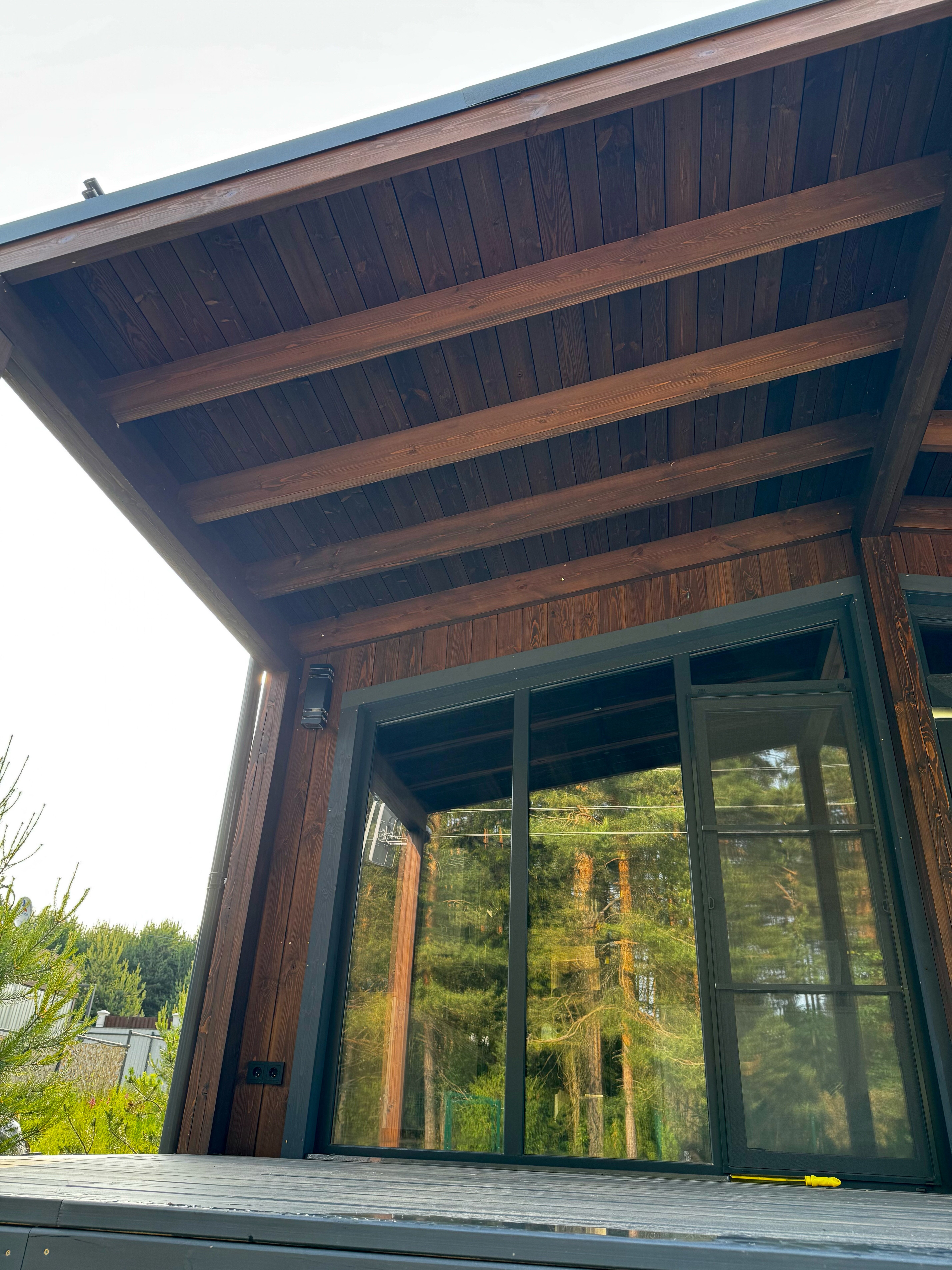 Фото Листья