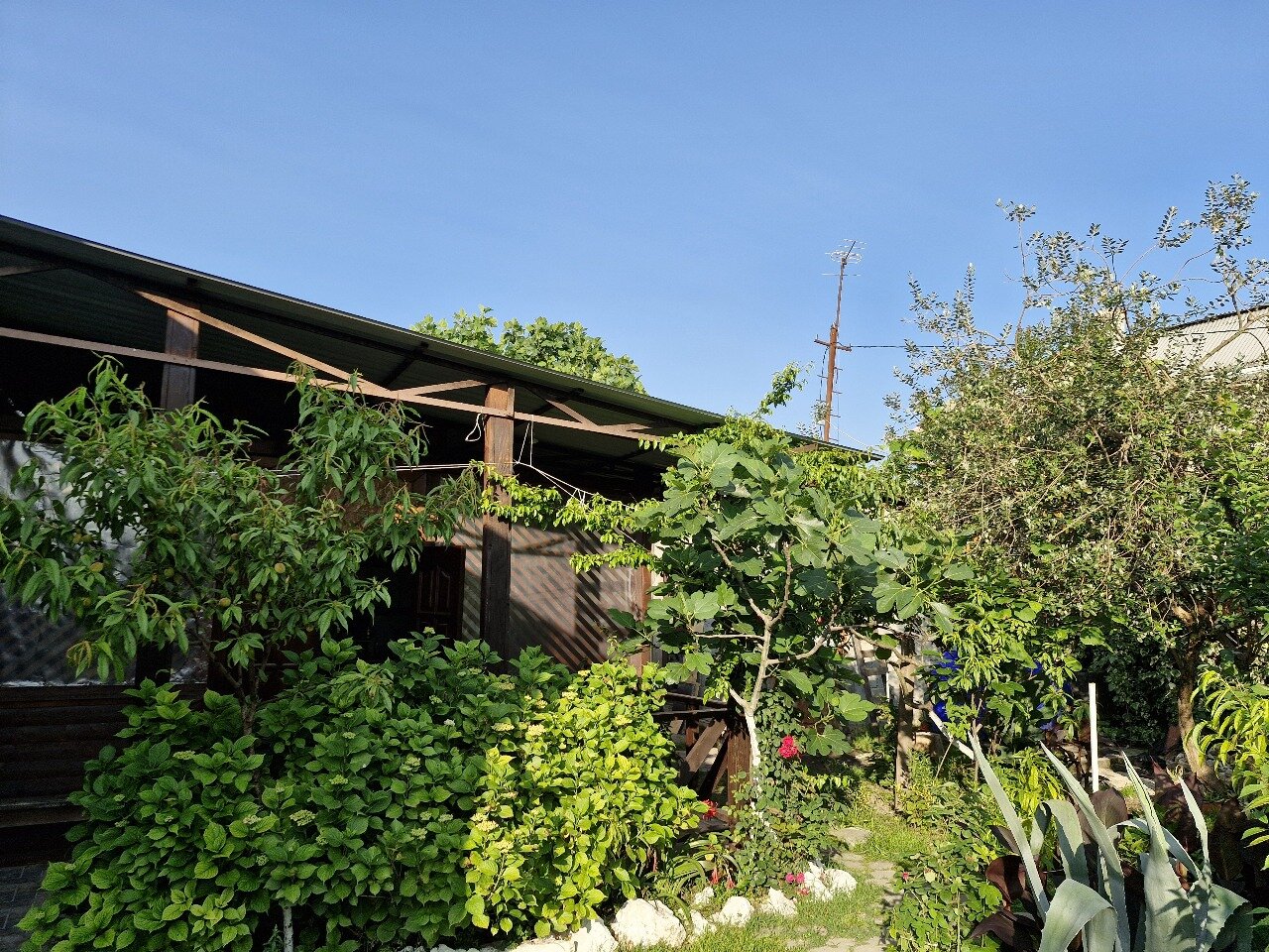 Фото Новая Гагра