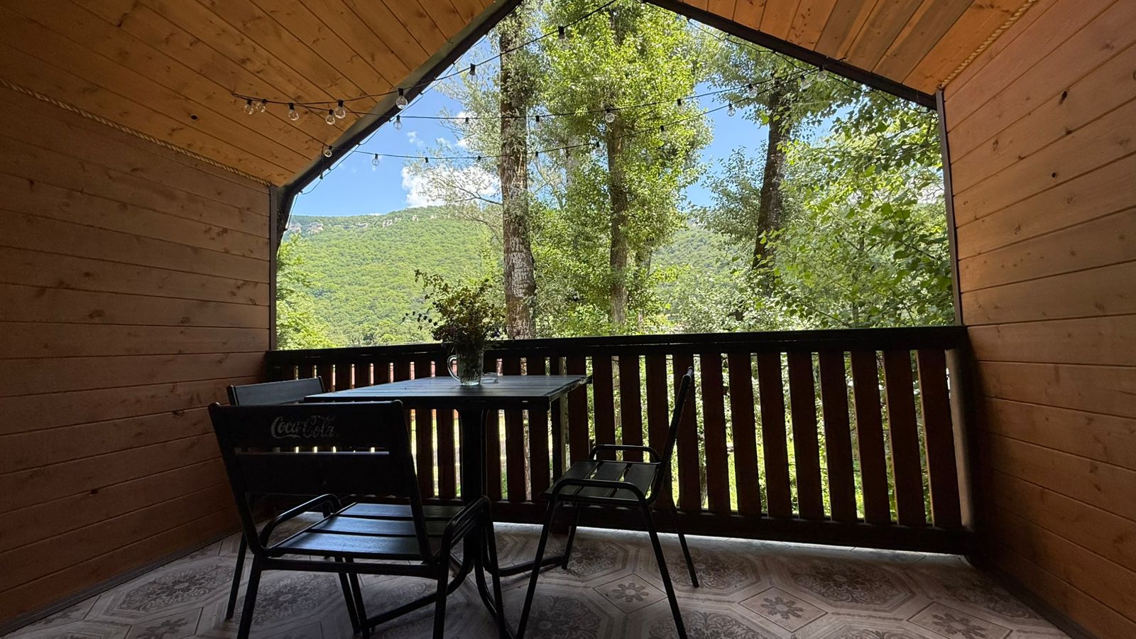 Фото Кактус Арт