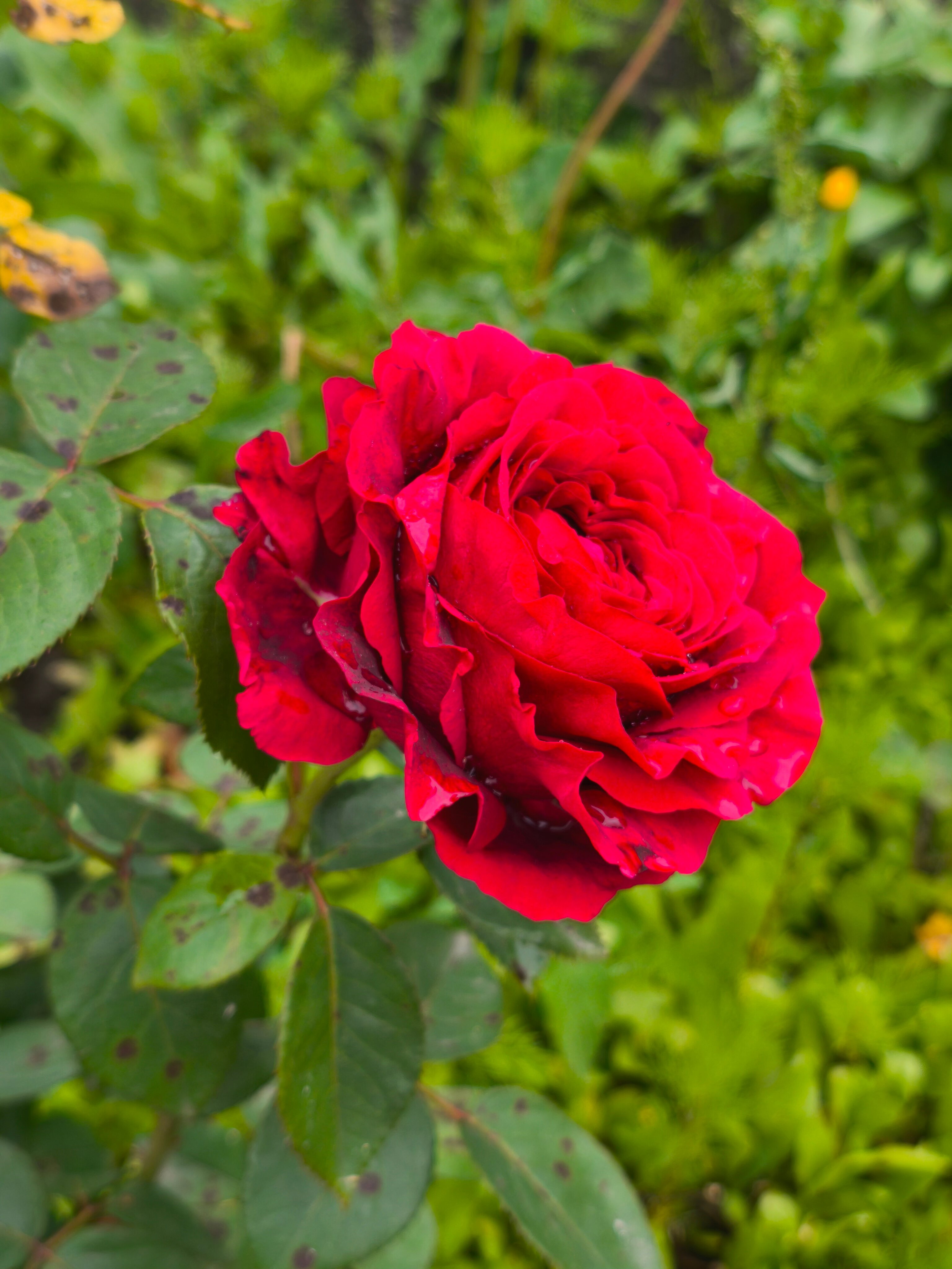 Фото У Володи