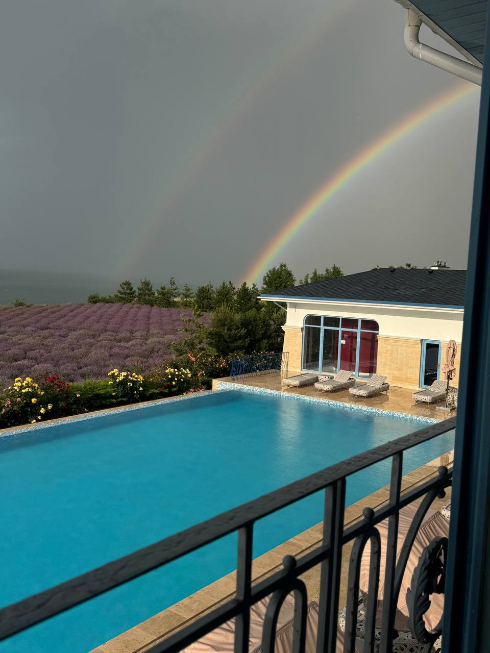 Фото Villa Romanov Wine Club & SPA