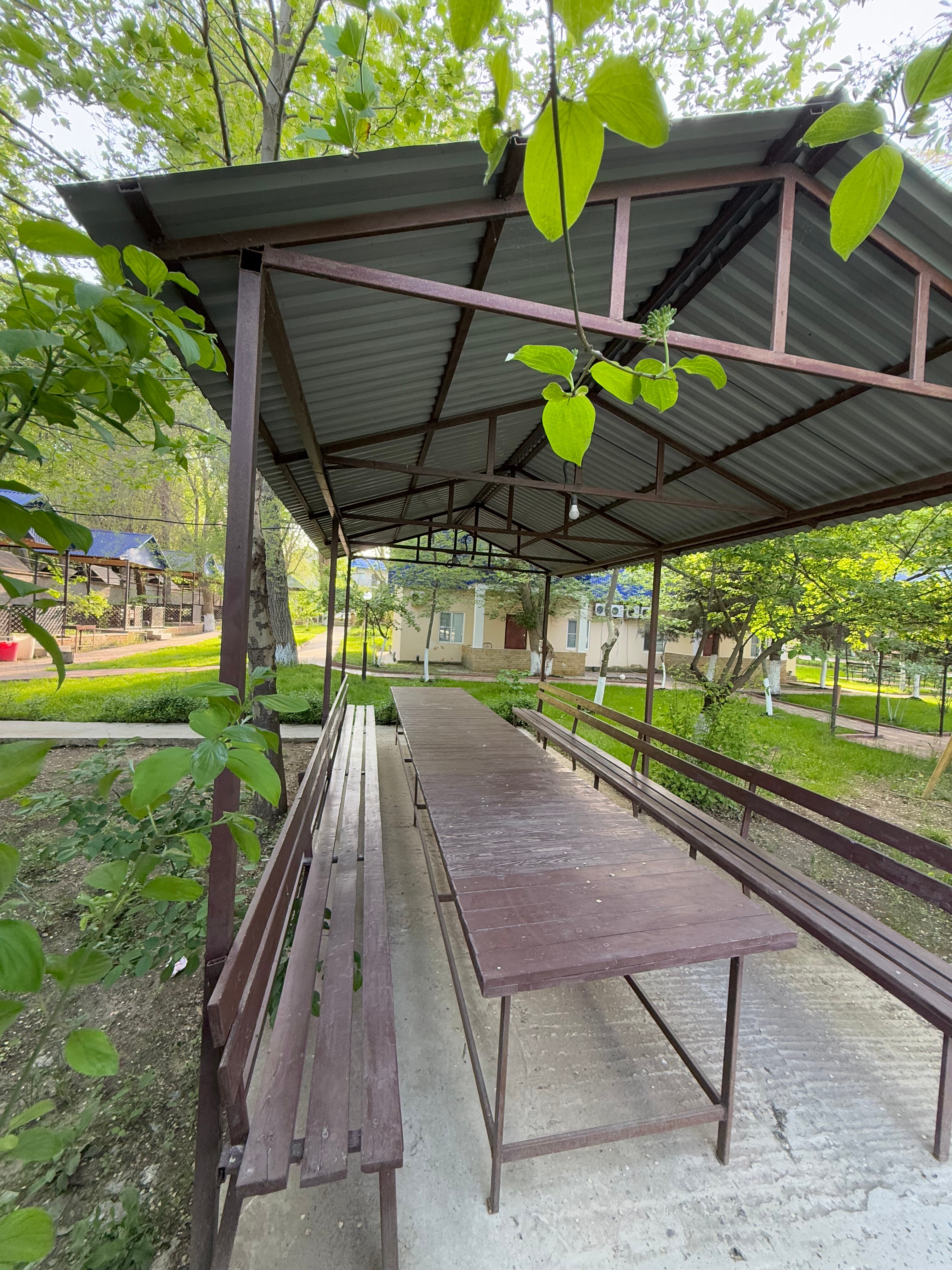 Фото Грин Вилл