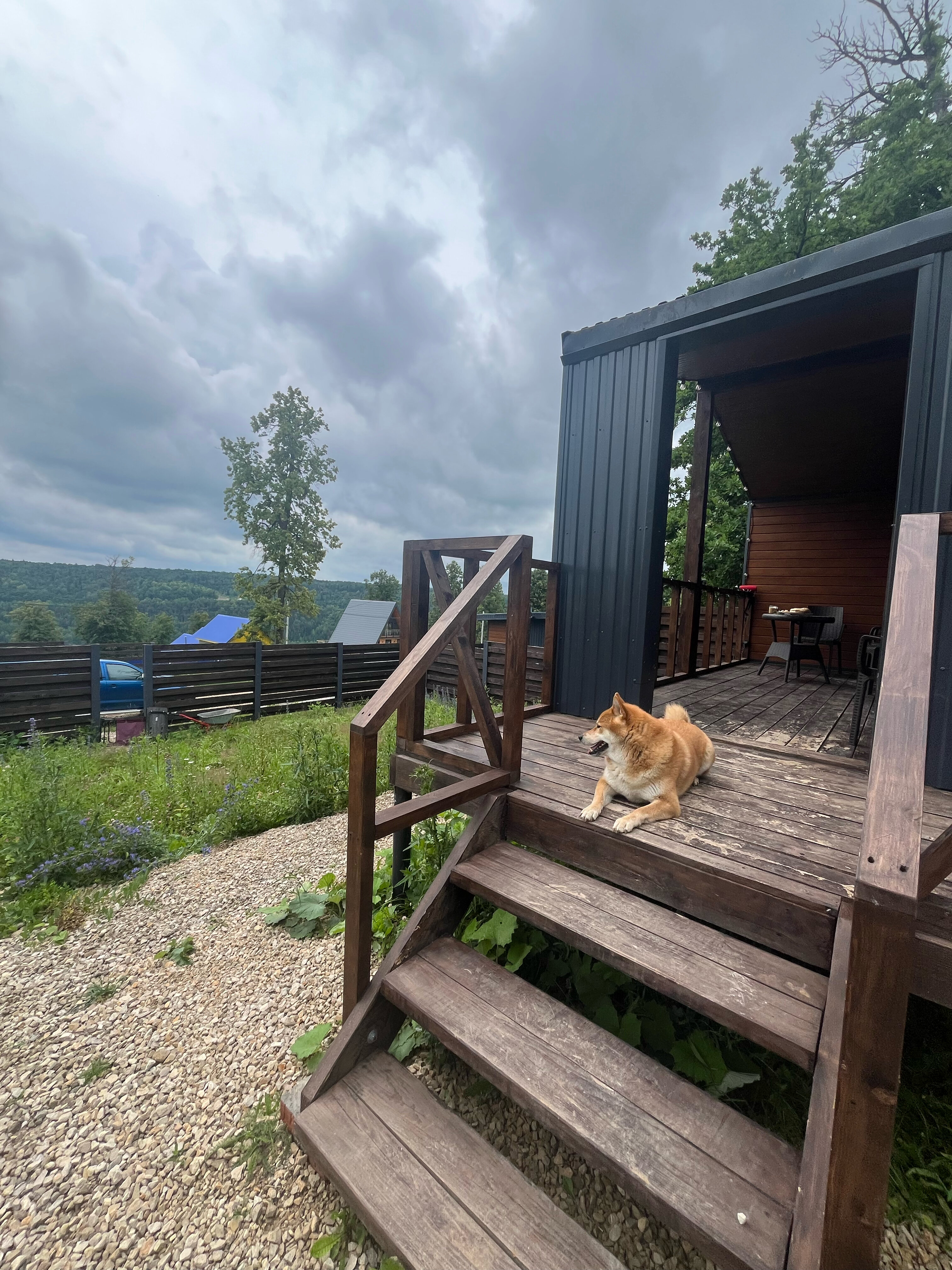 Фото Pavlov_glamp