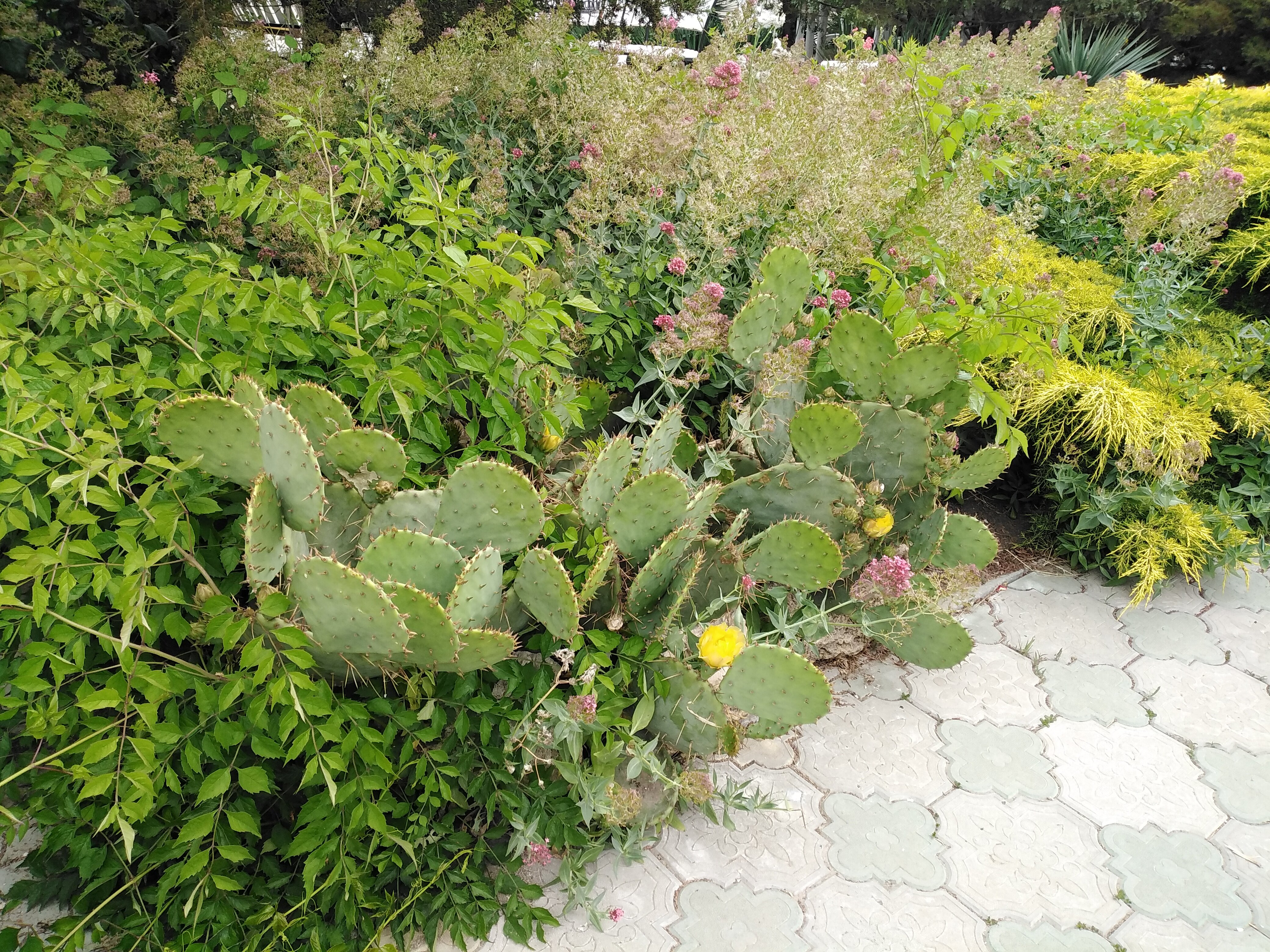 Фото Дружба