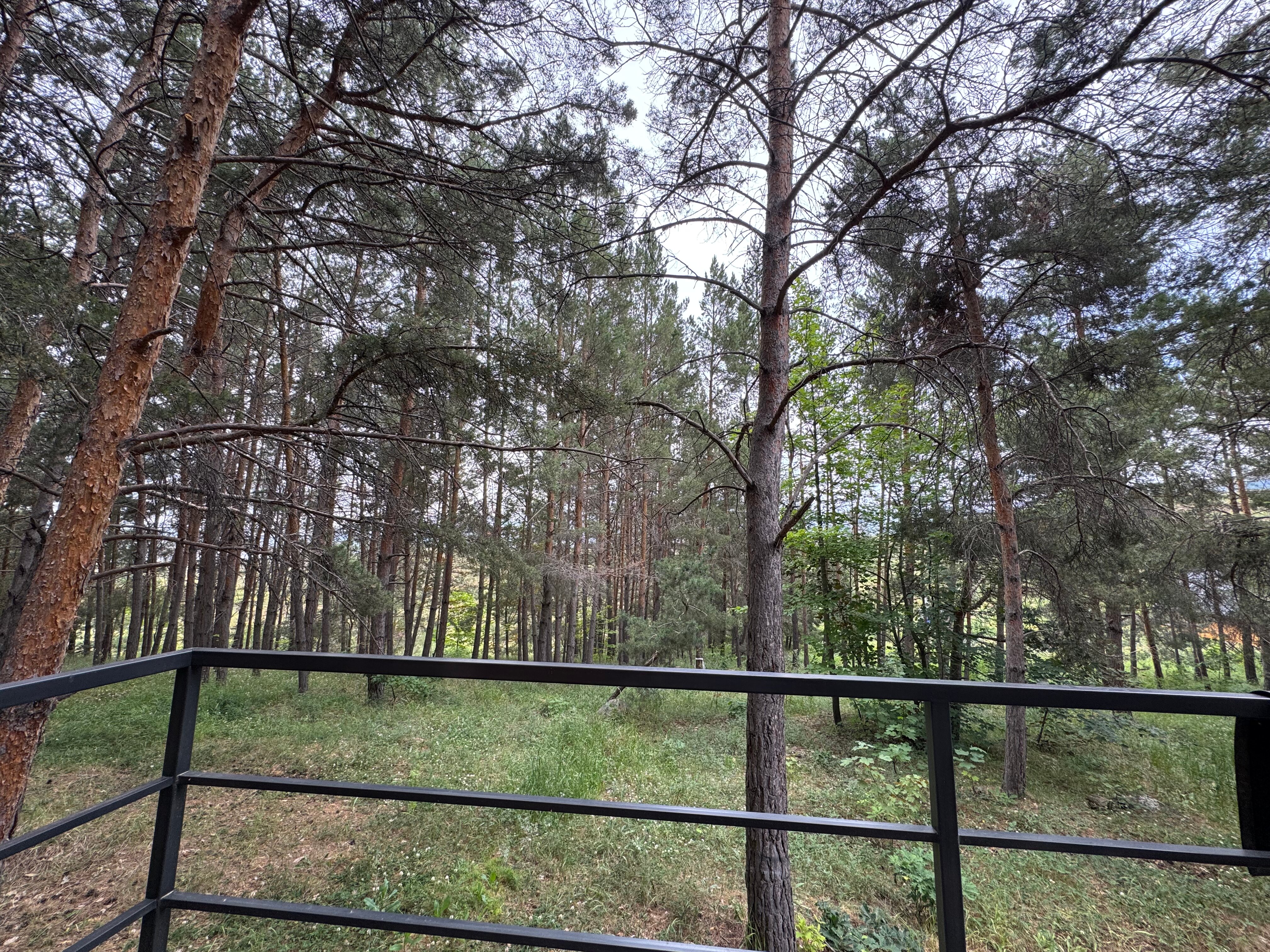 Фото Aparan Park