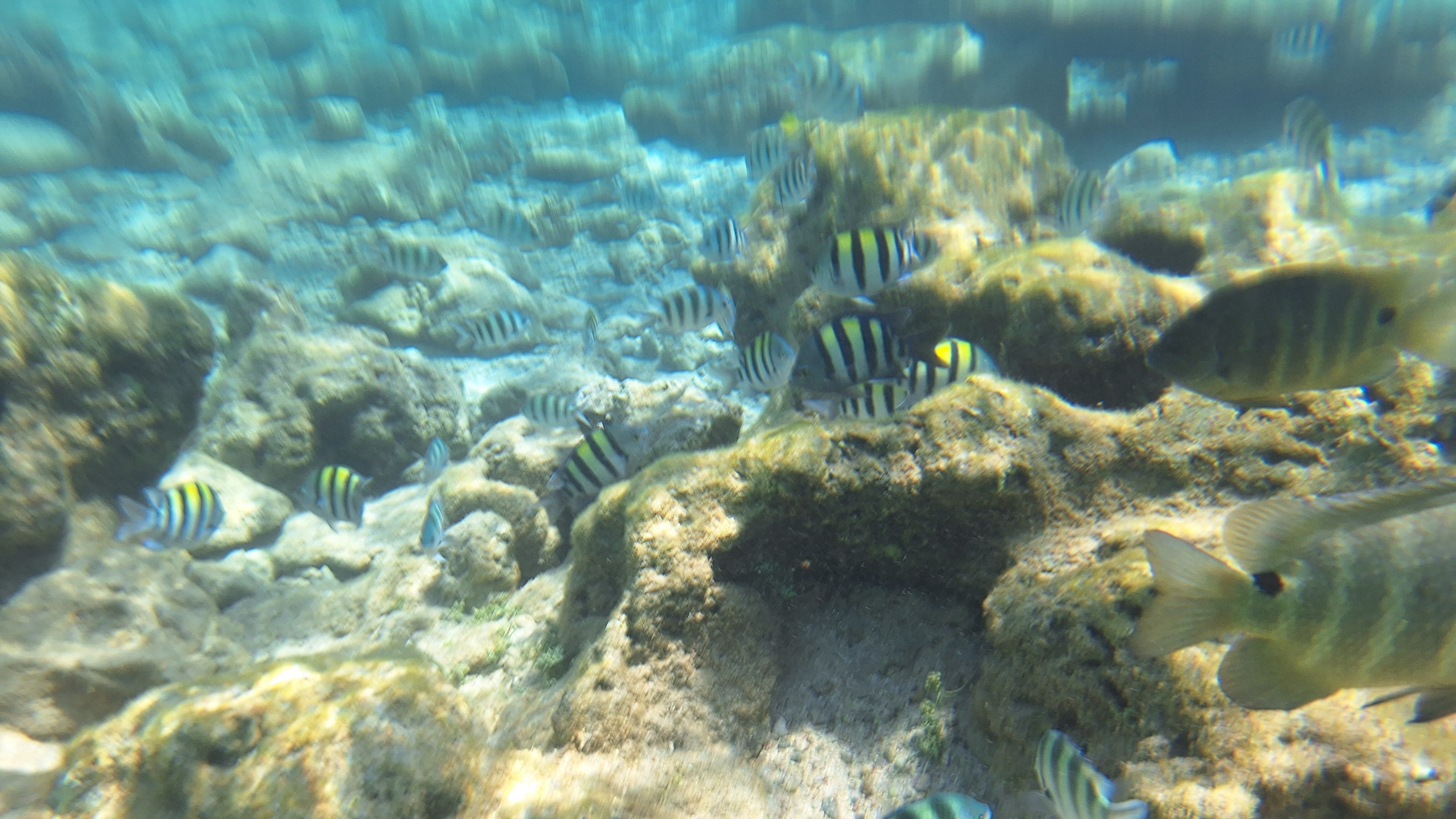 Фото Charmillion Club Resort