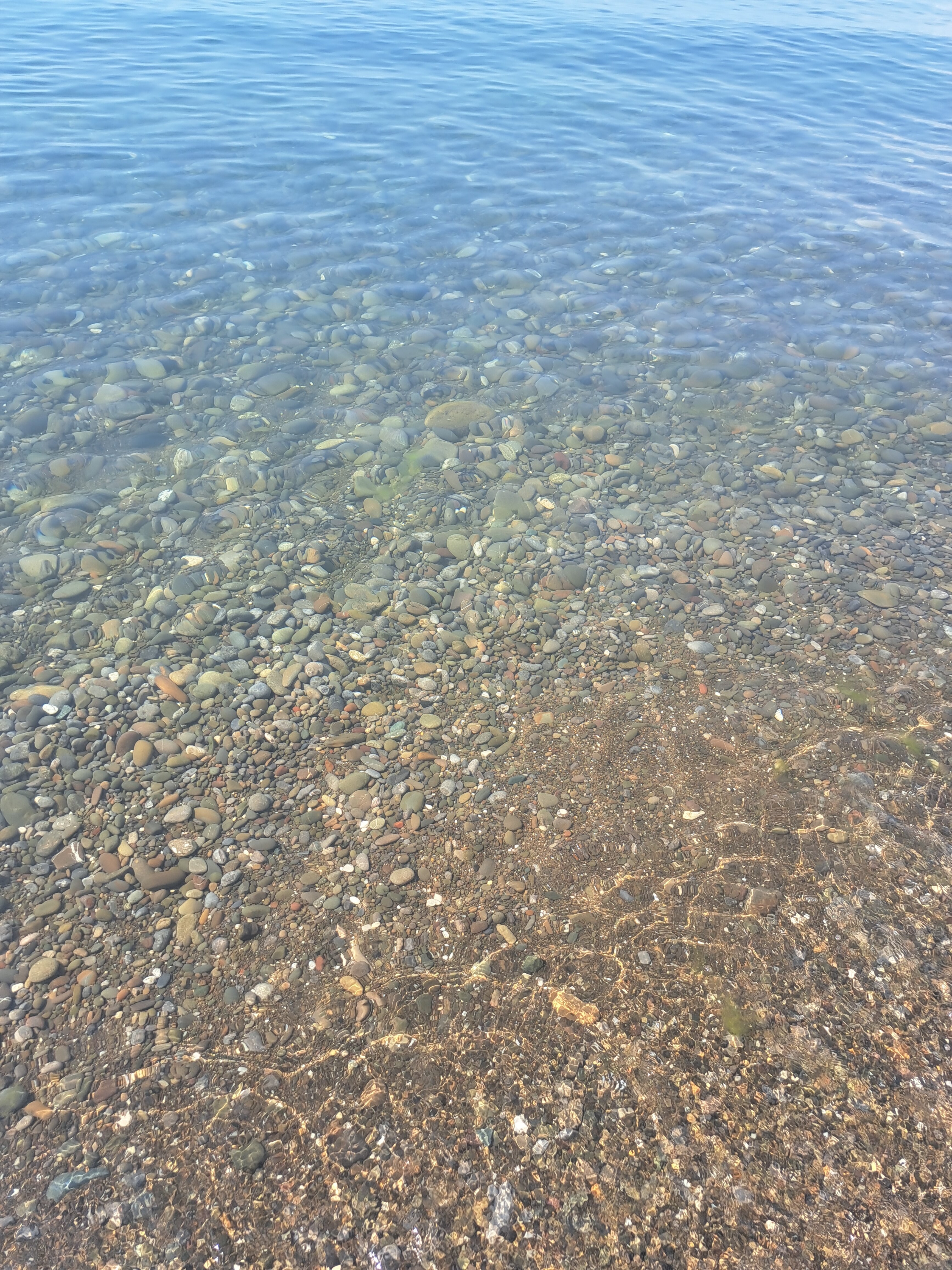 Фото Солнечный