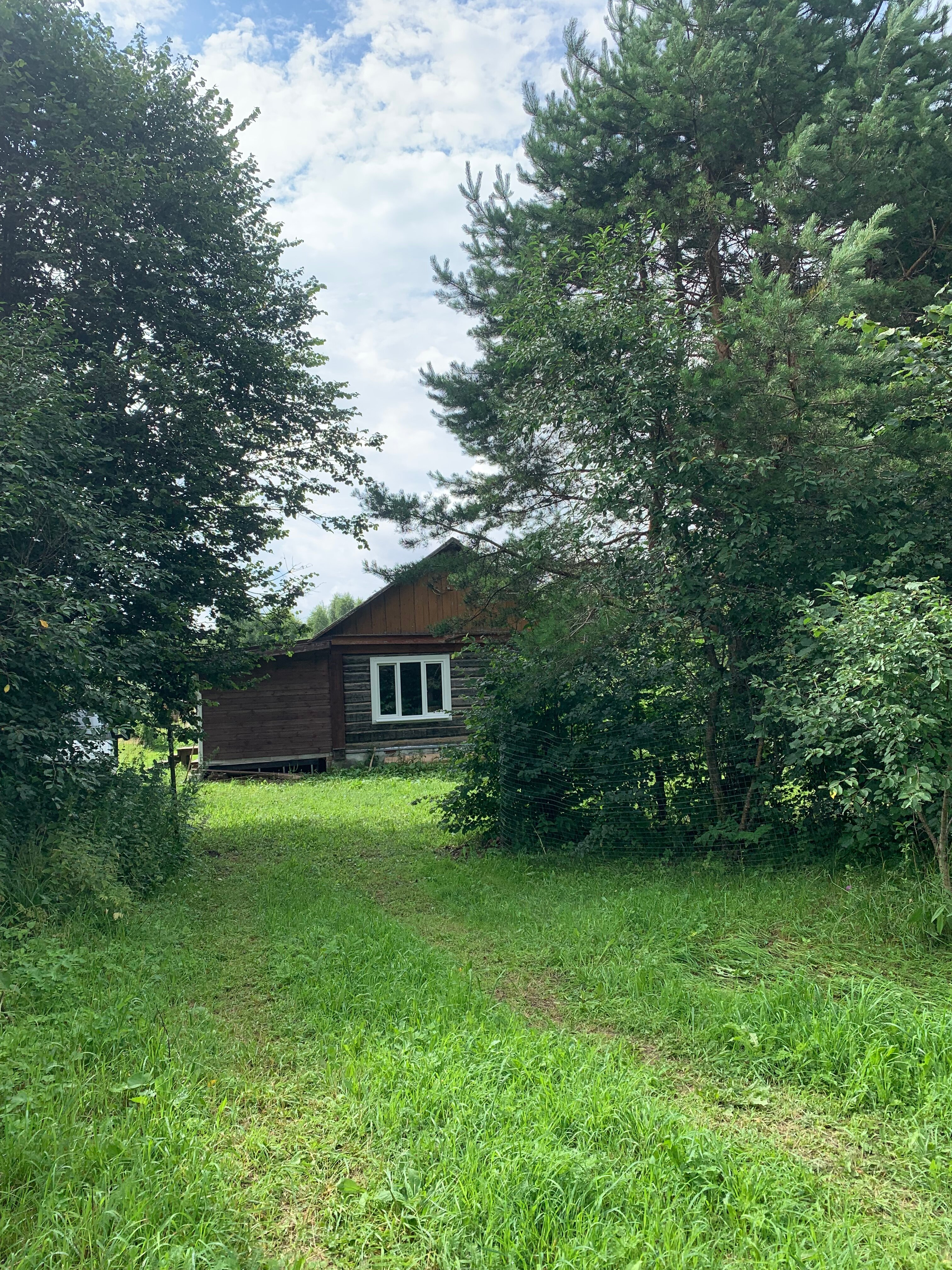 Фото Липовая аллея