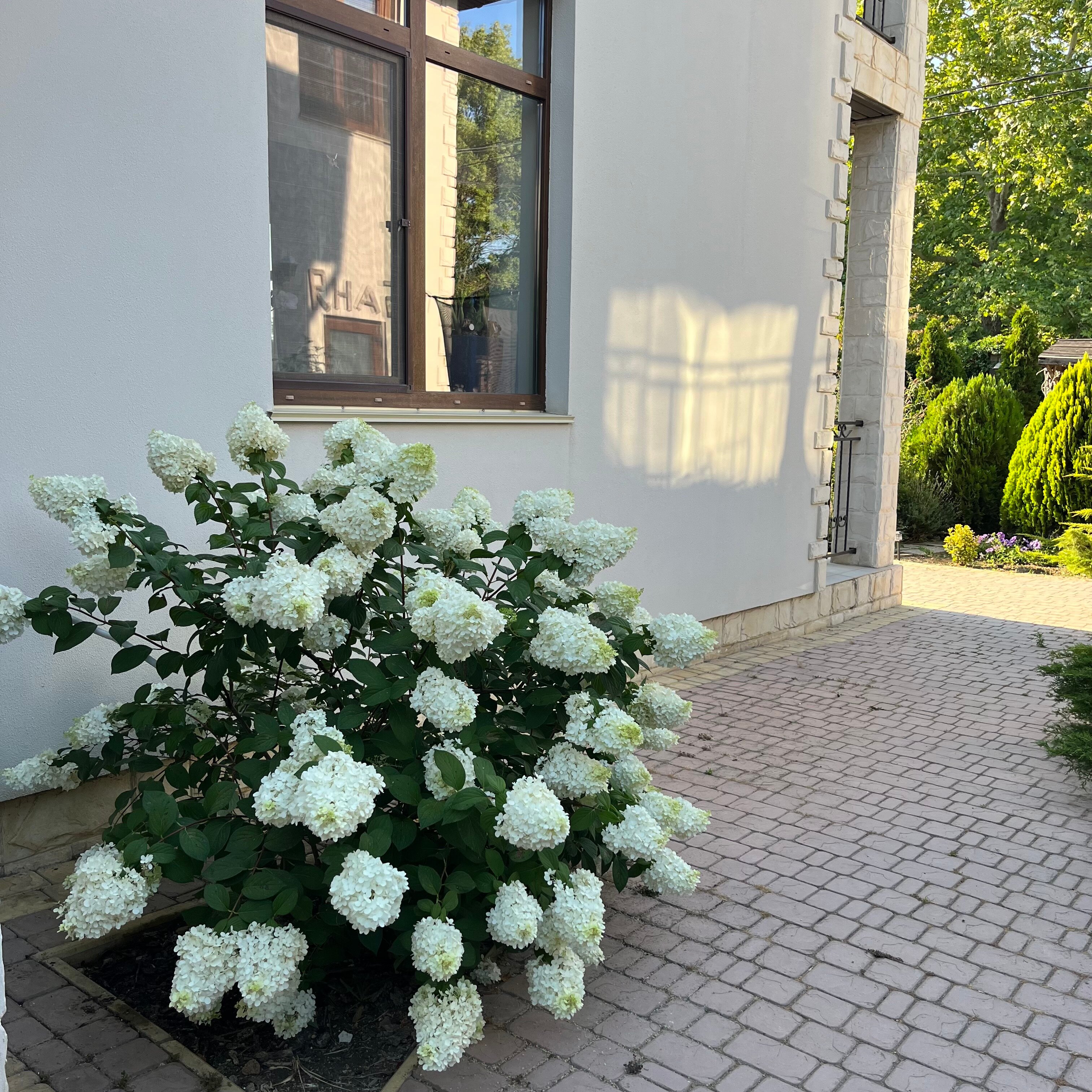 Фото Шато Блан