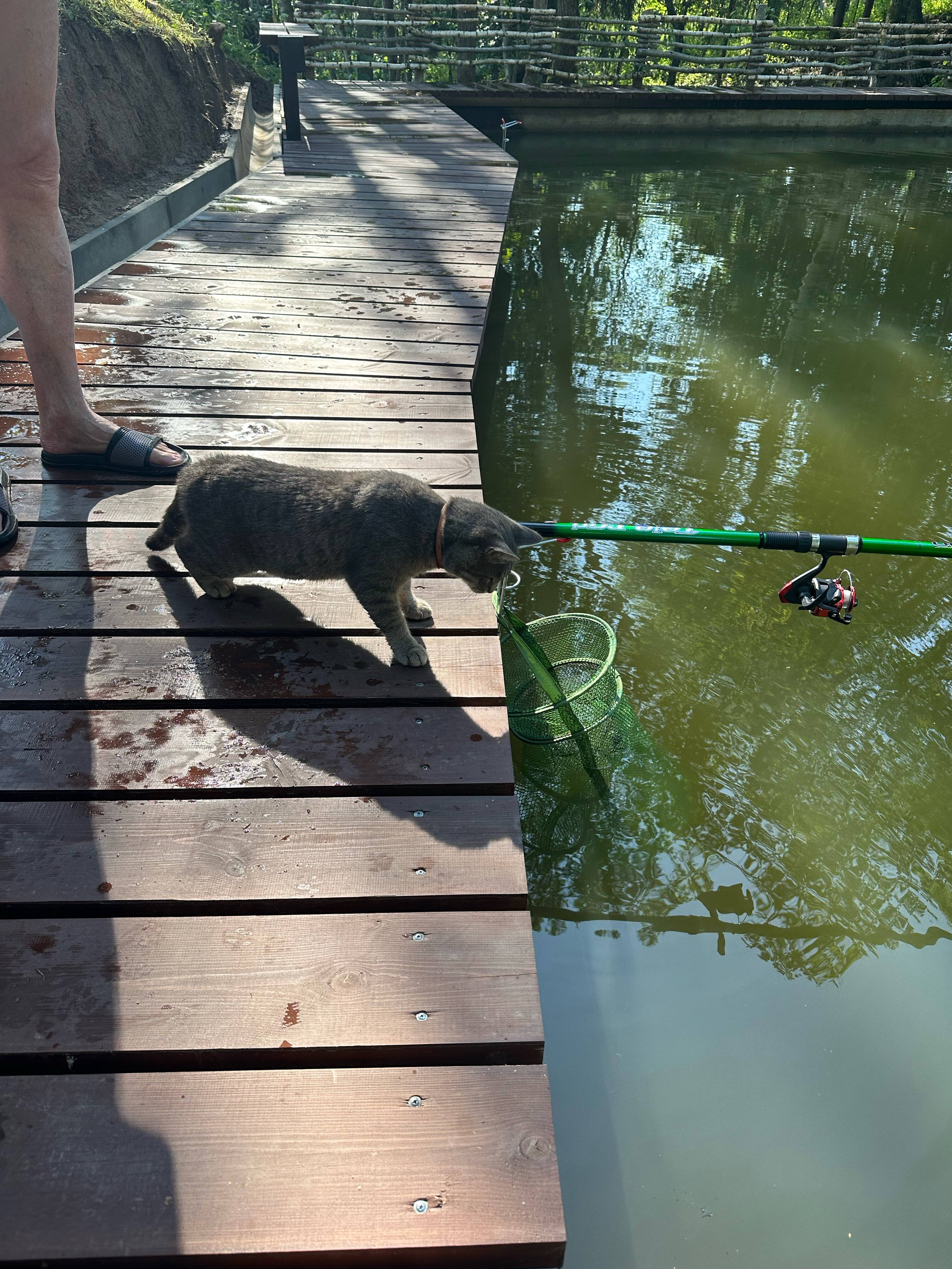 Фото Гостевой комплекс Сычёвки