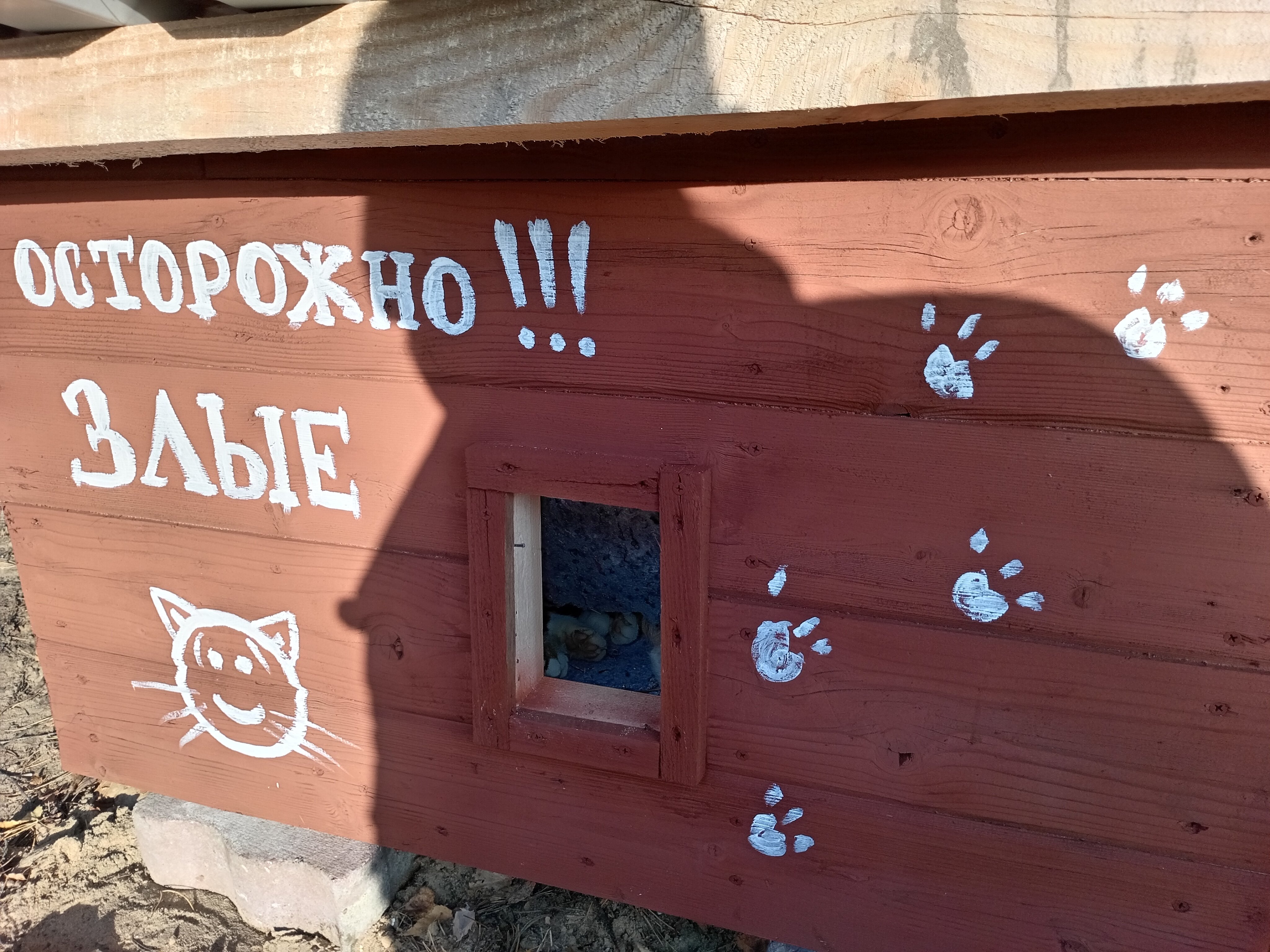 Фото Подворье