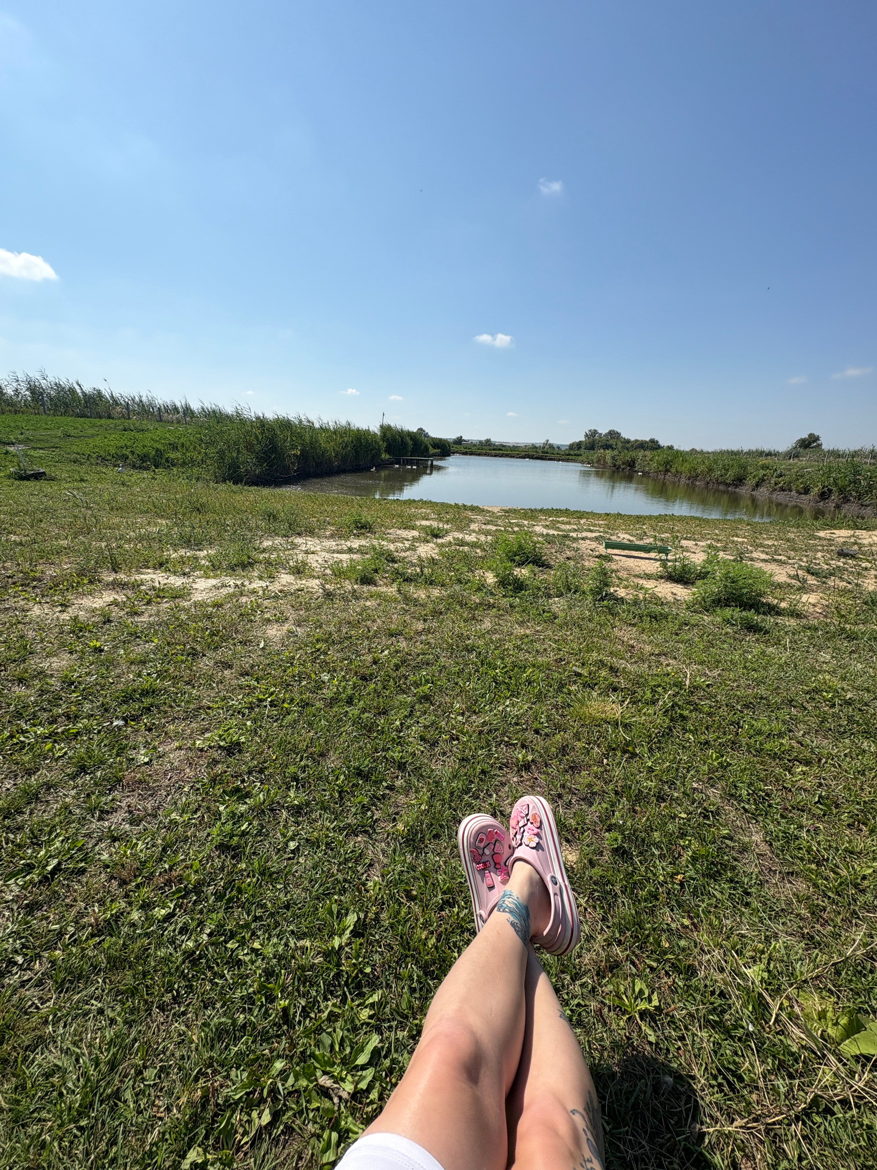 Фото Домики у Пруда