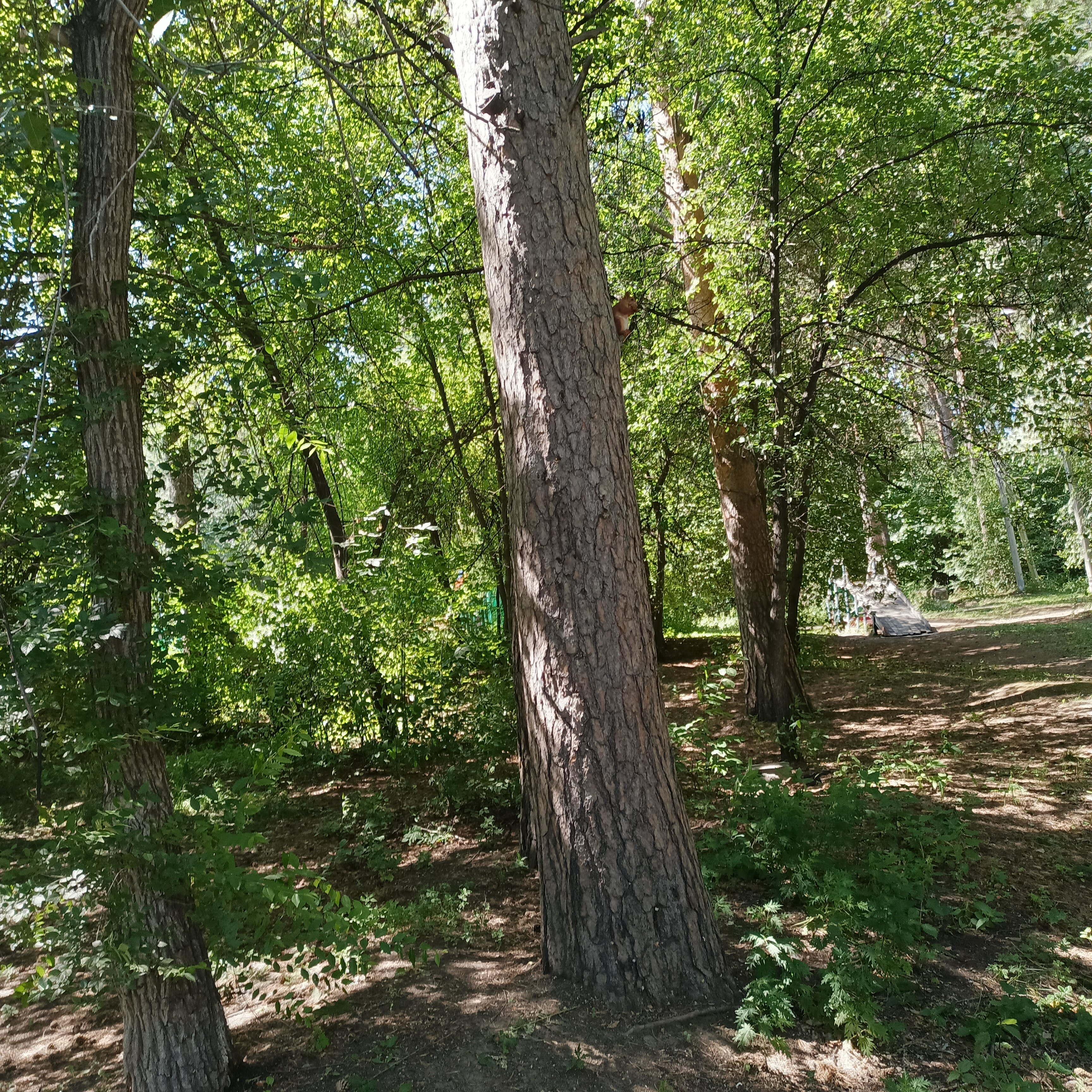 Фото Ангара