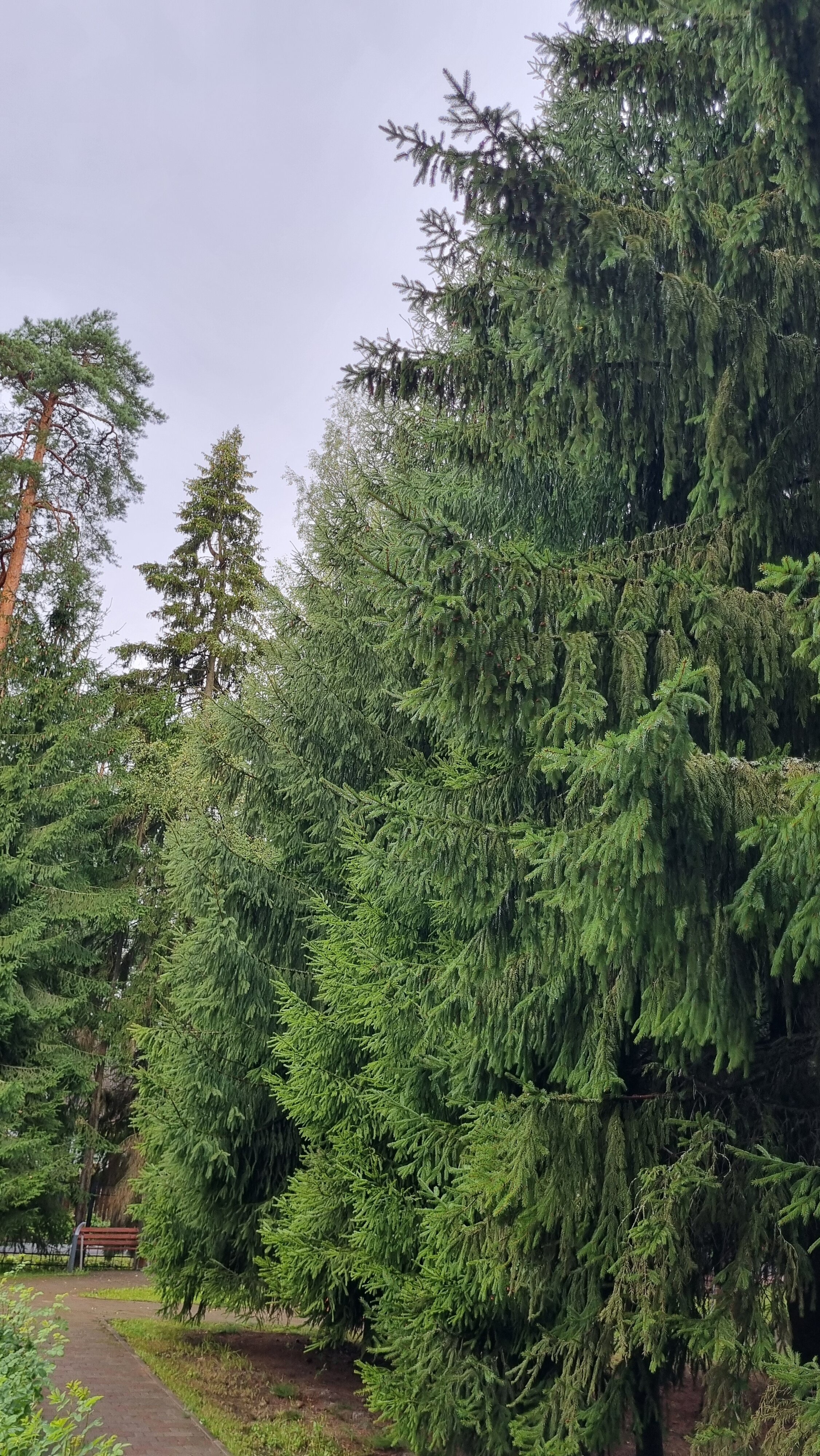 Фото Мельничный Ручей