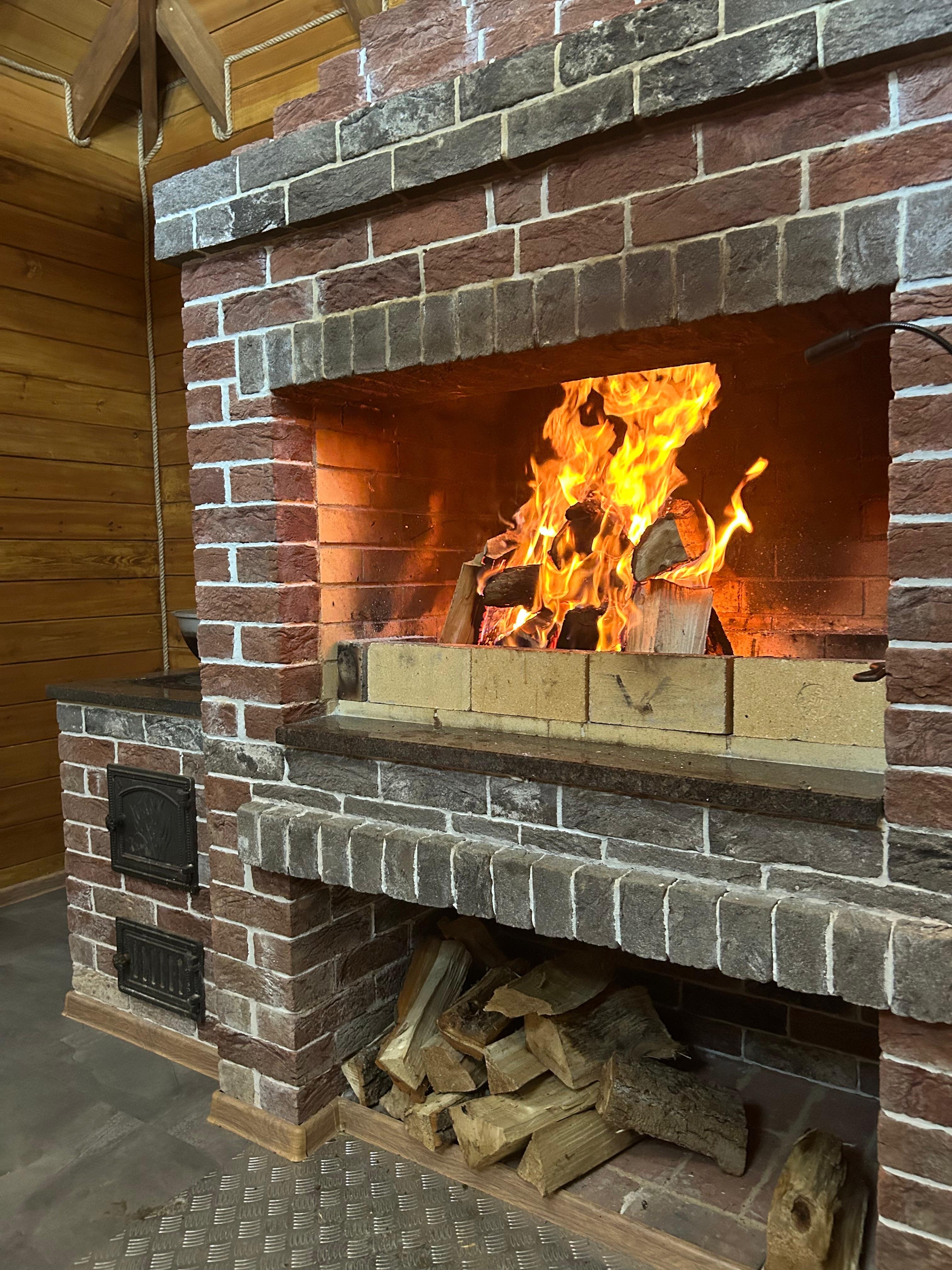 Фото Горная мята