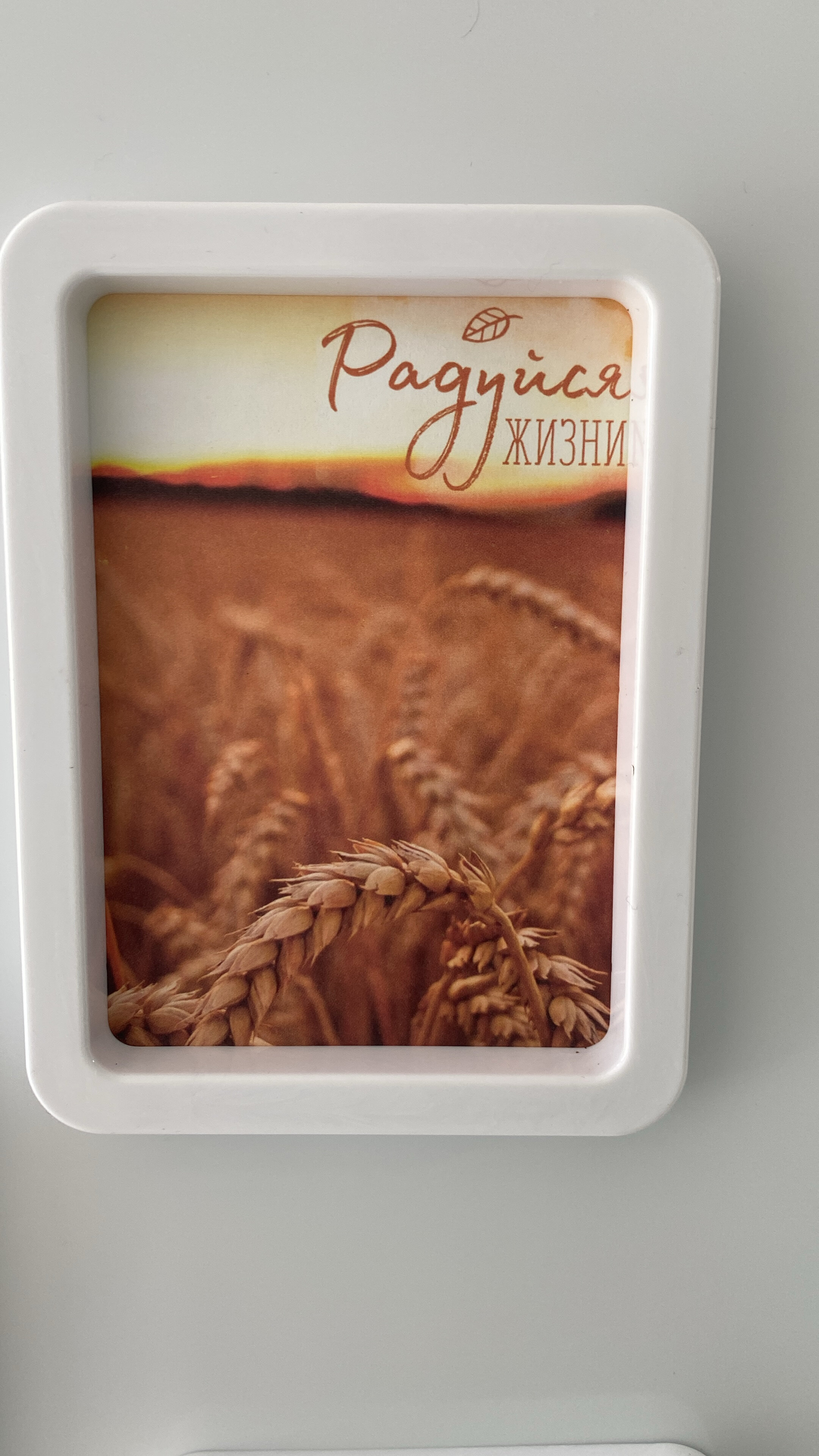 Фото Без границ