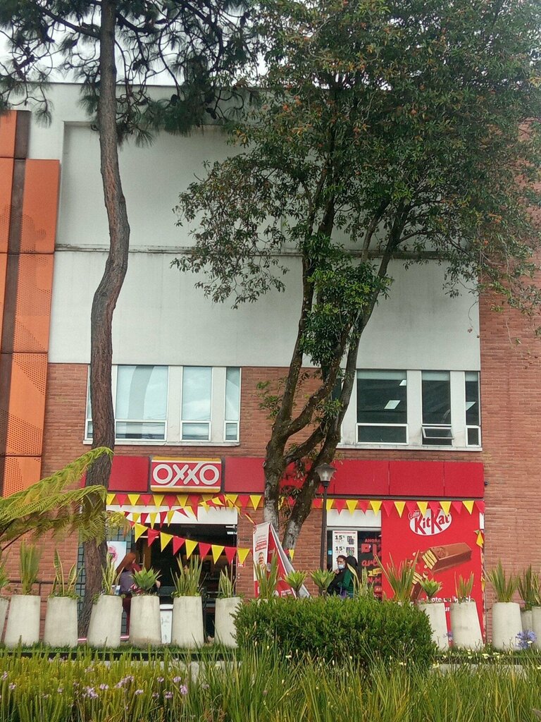 Clothing store Oxxo, Bogota, photo