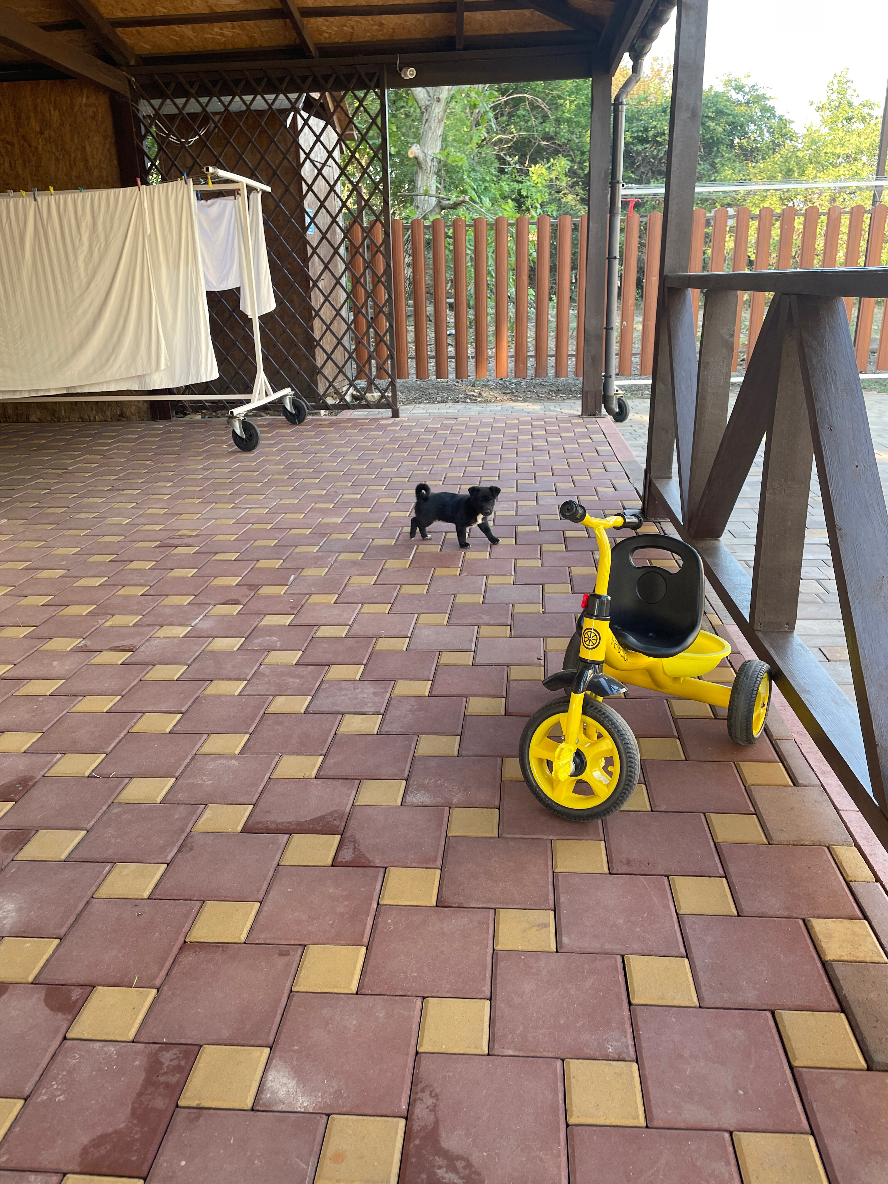 Фото Бургомистр