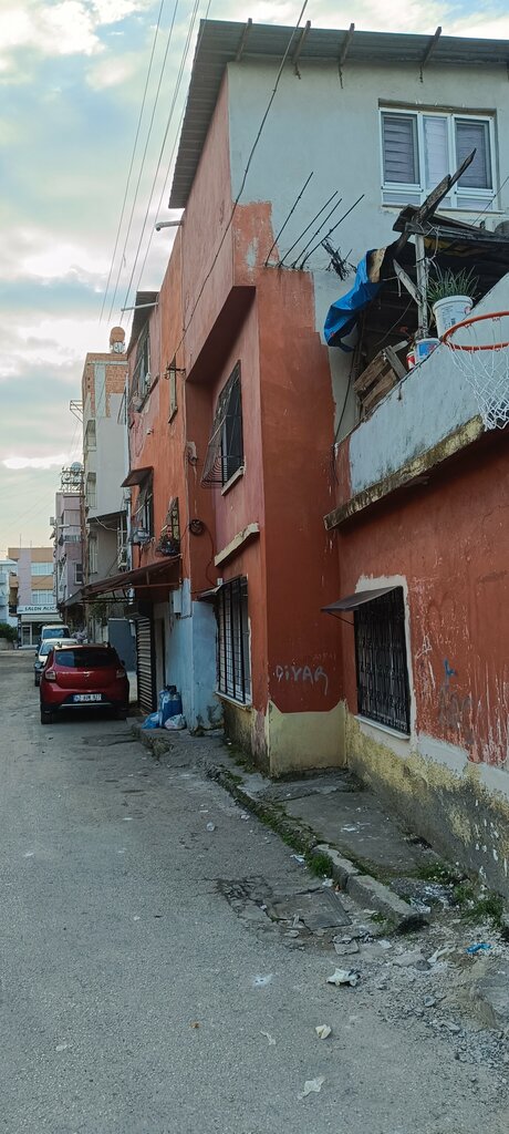 Software companies Dilsaz Oktayi Web Software Specialist, Adana, photo