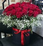 Doga Cicekcilik (Kırklareli, Kirklareli Merkez District, Karakaş Mah., Karakaş Bey Sok., 39), flower shop