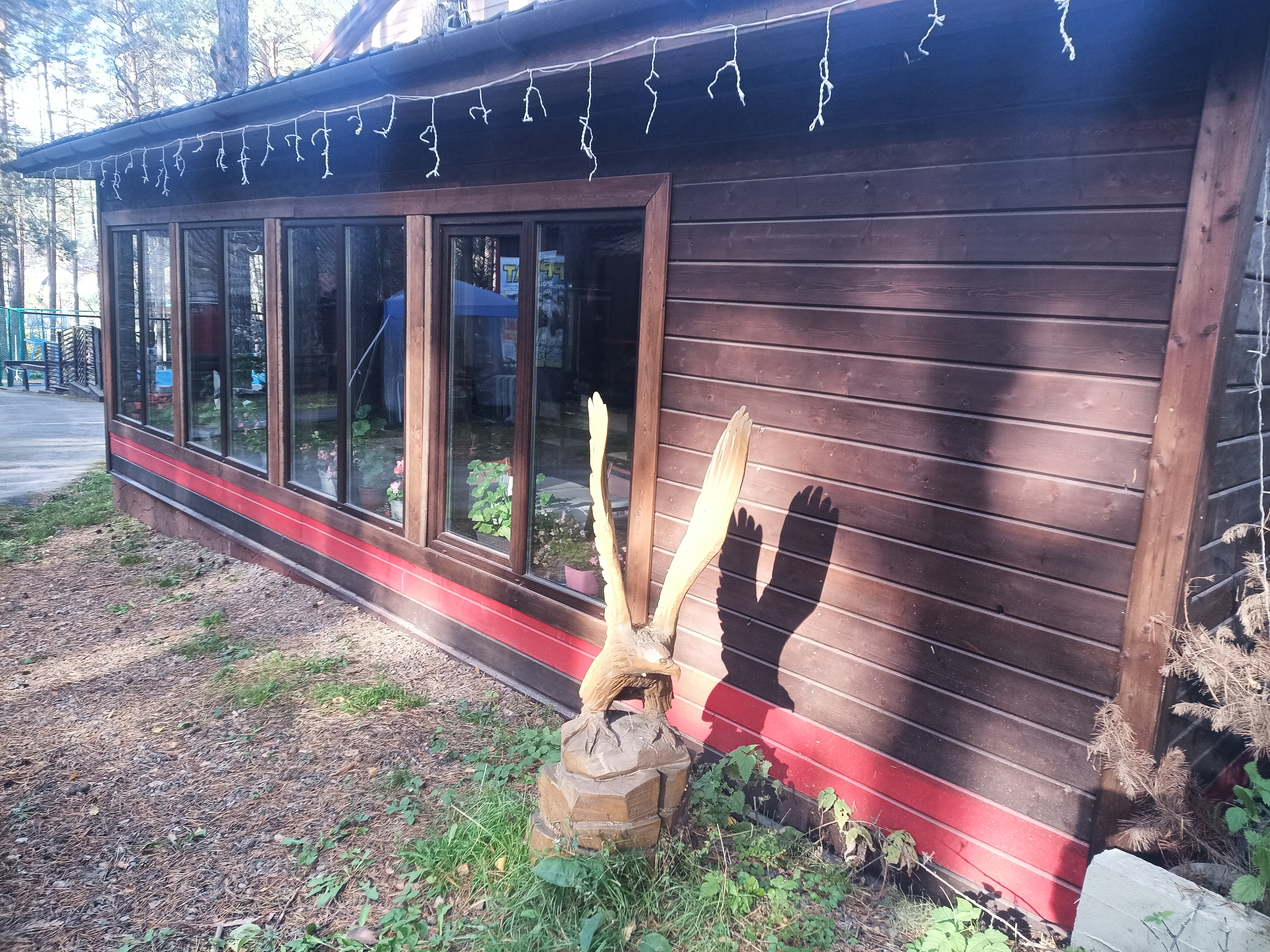 Фото Брусника