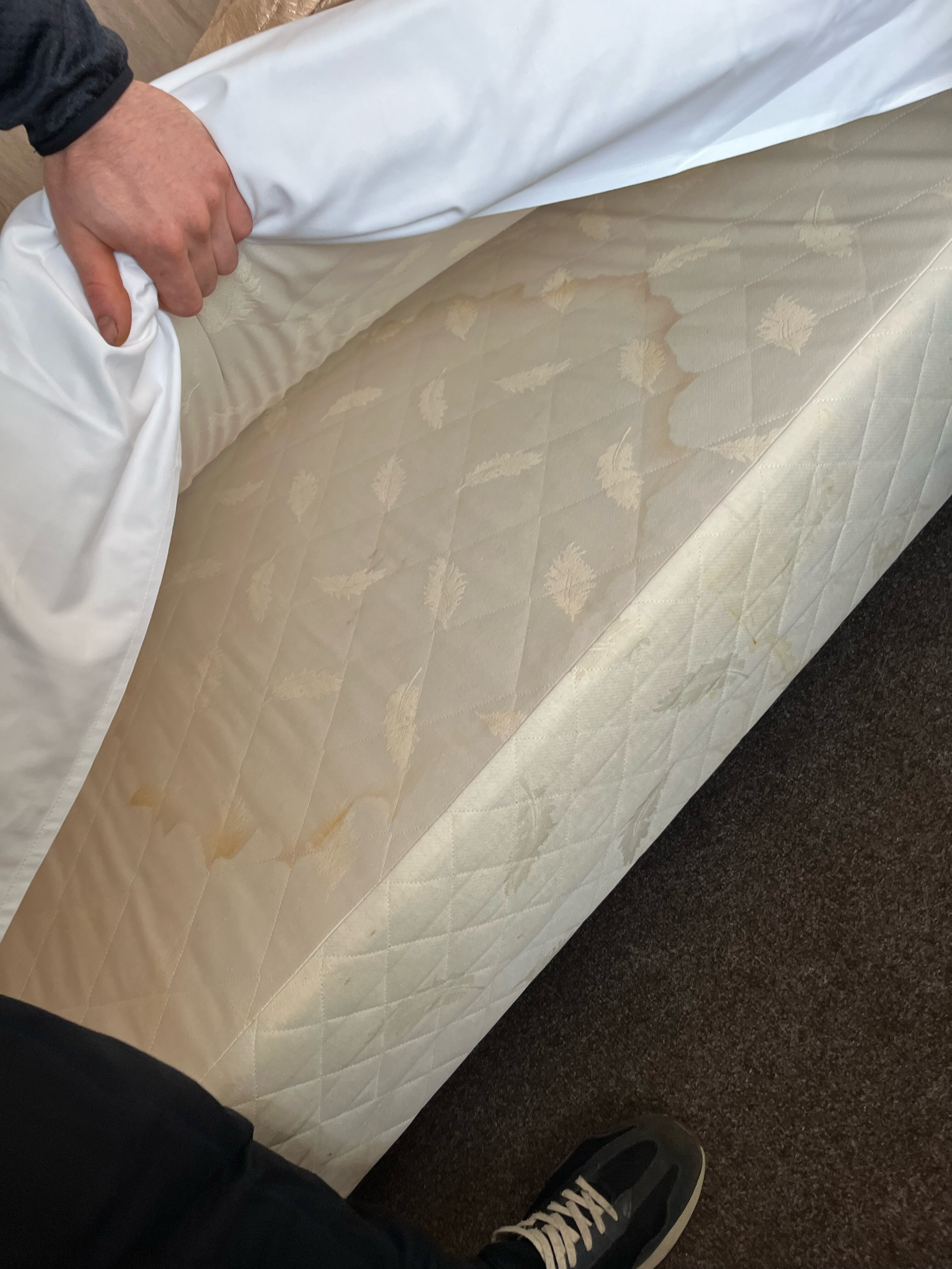 Фото Горняк